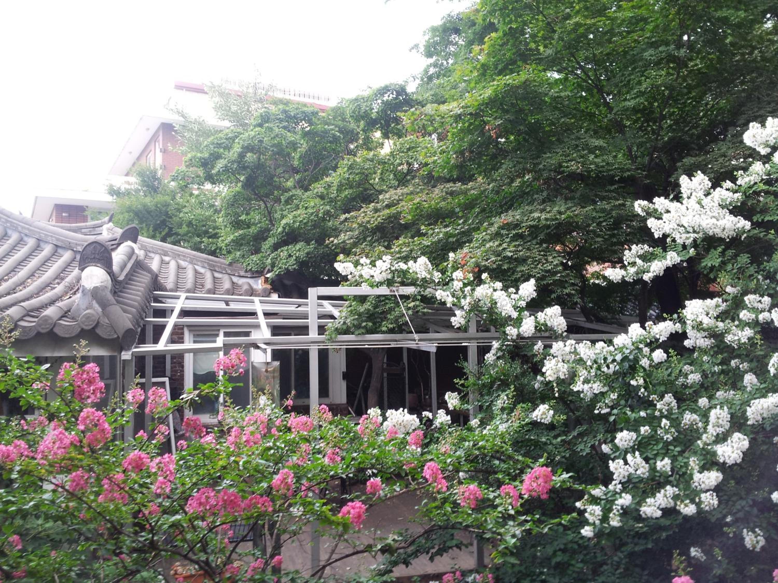 Jiwoljang Guesthouse
