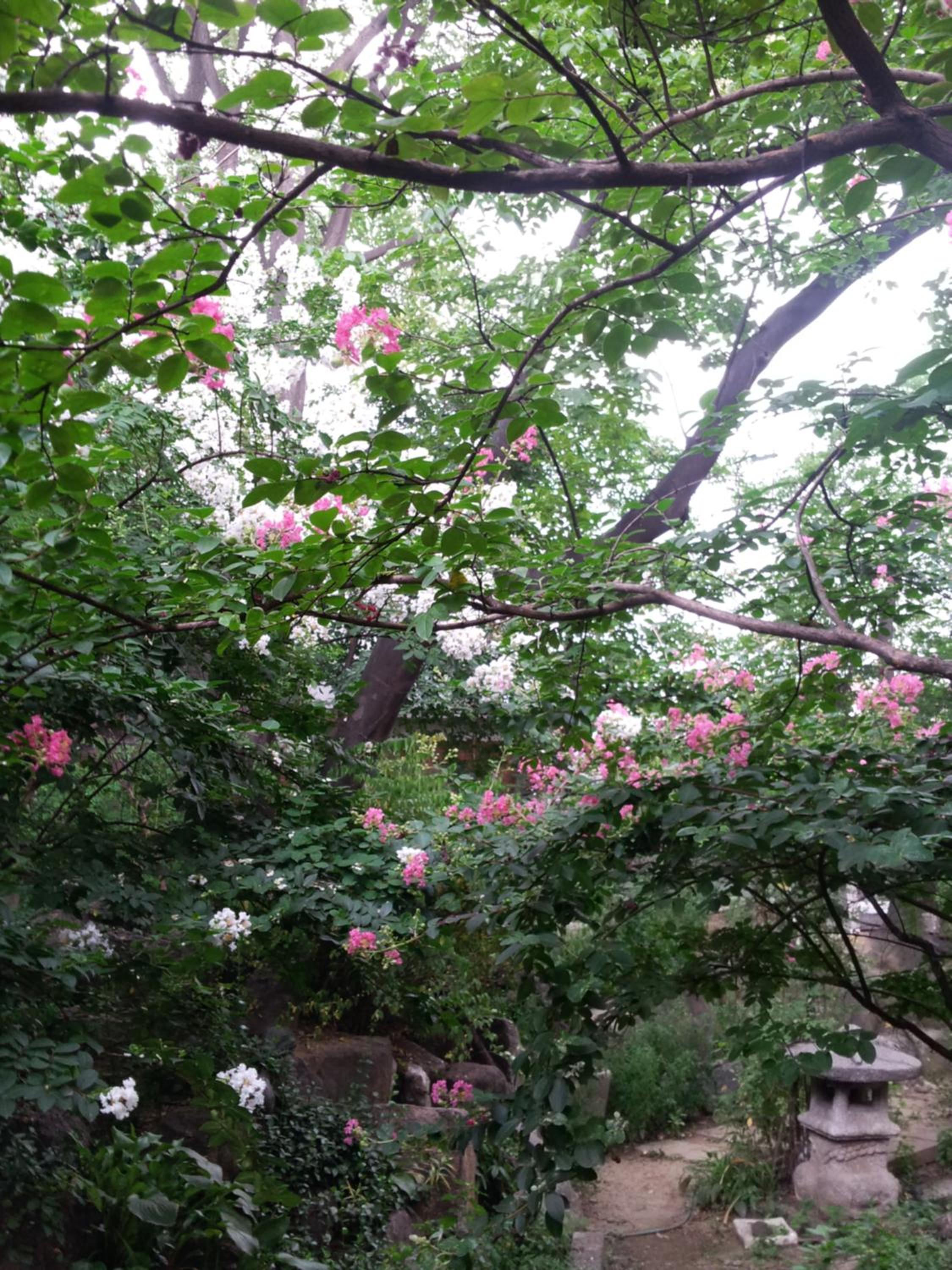 Jiwoljang Guesthouse