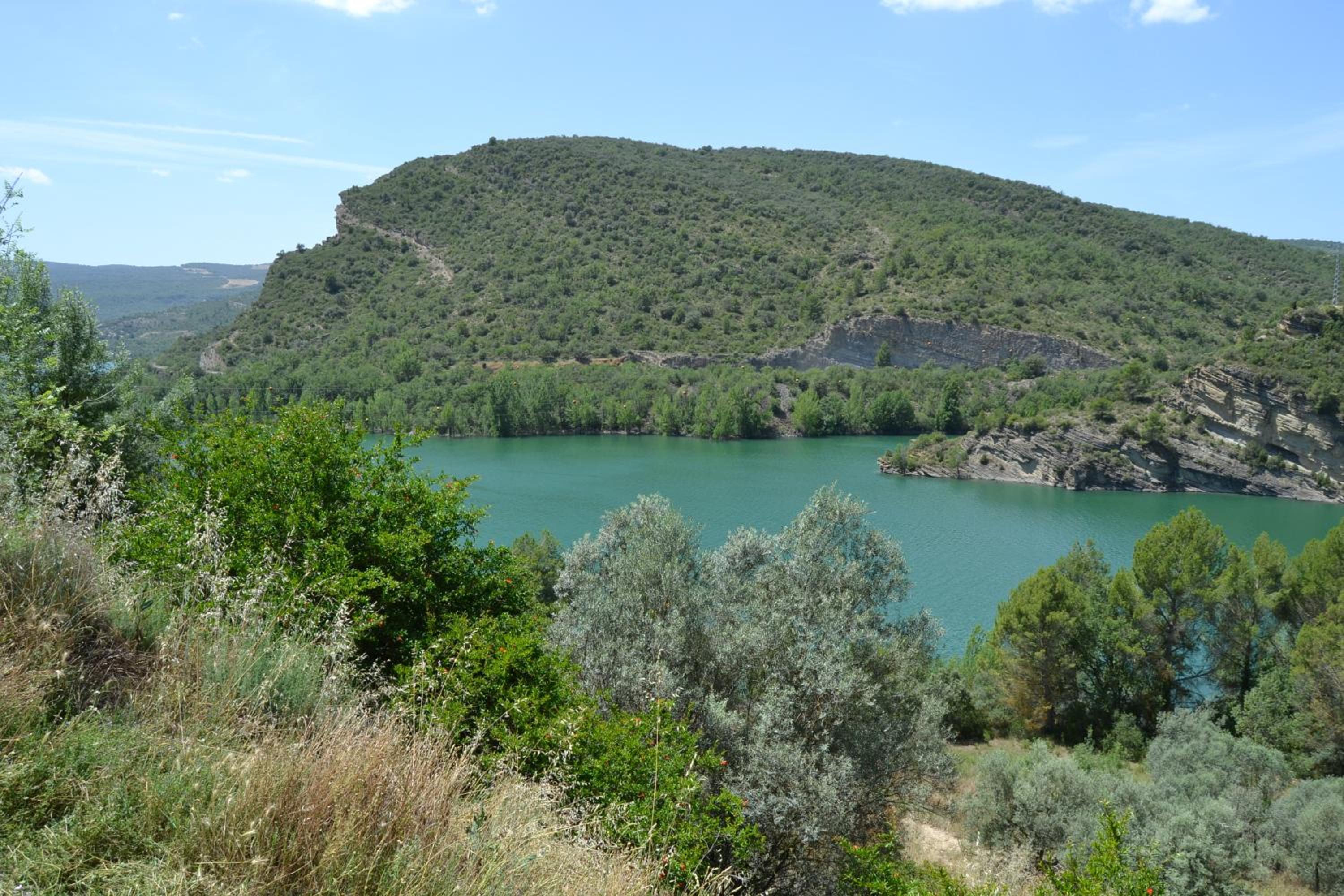 Photo 46
