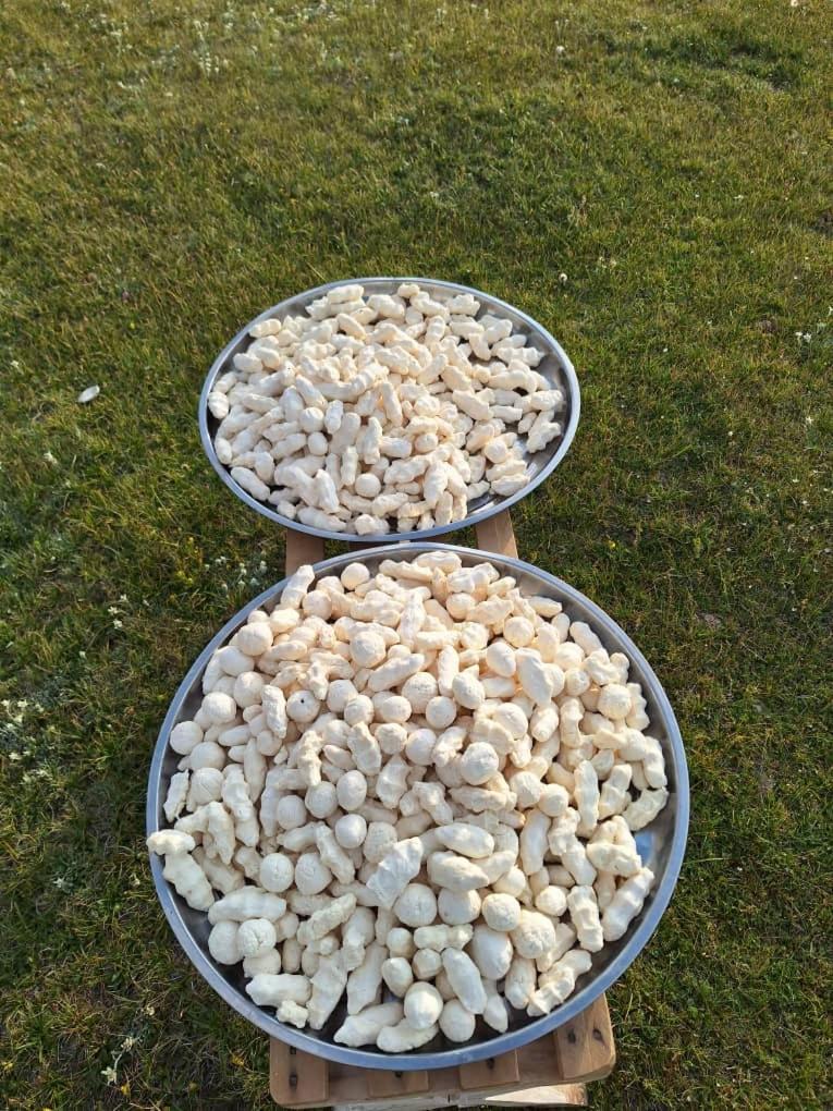 Photo 37