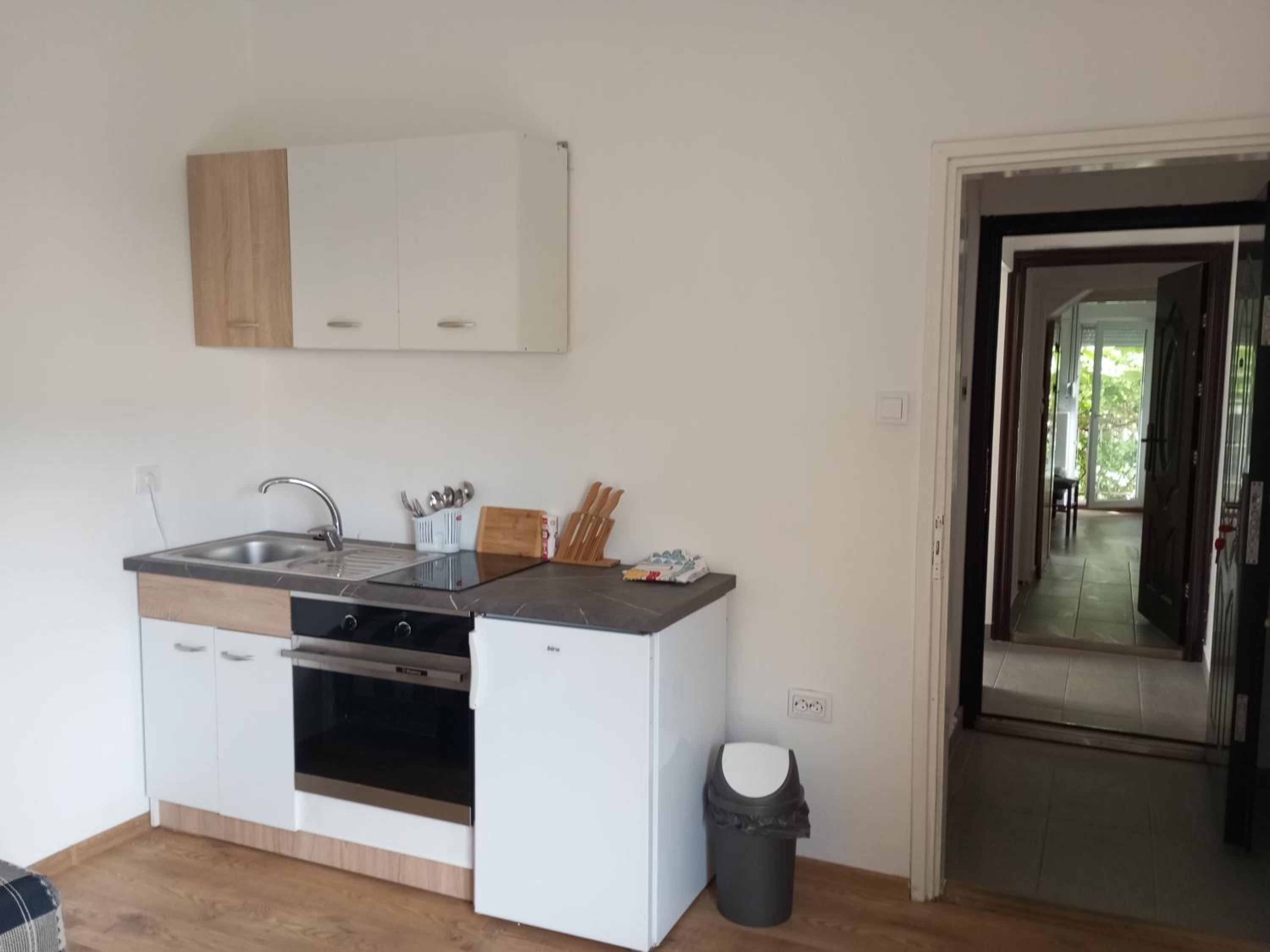 Apartmani Bane2 view 2