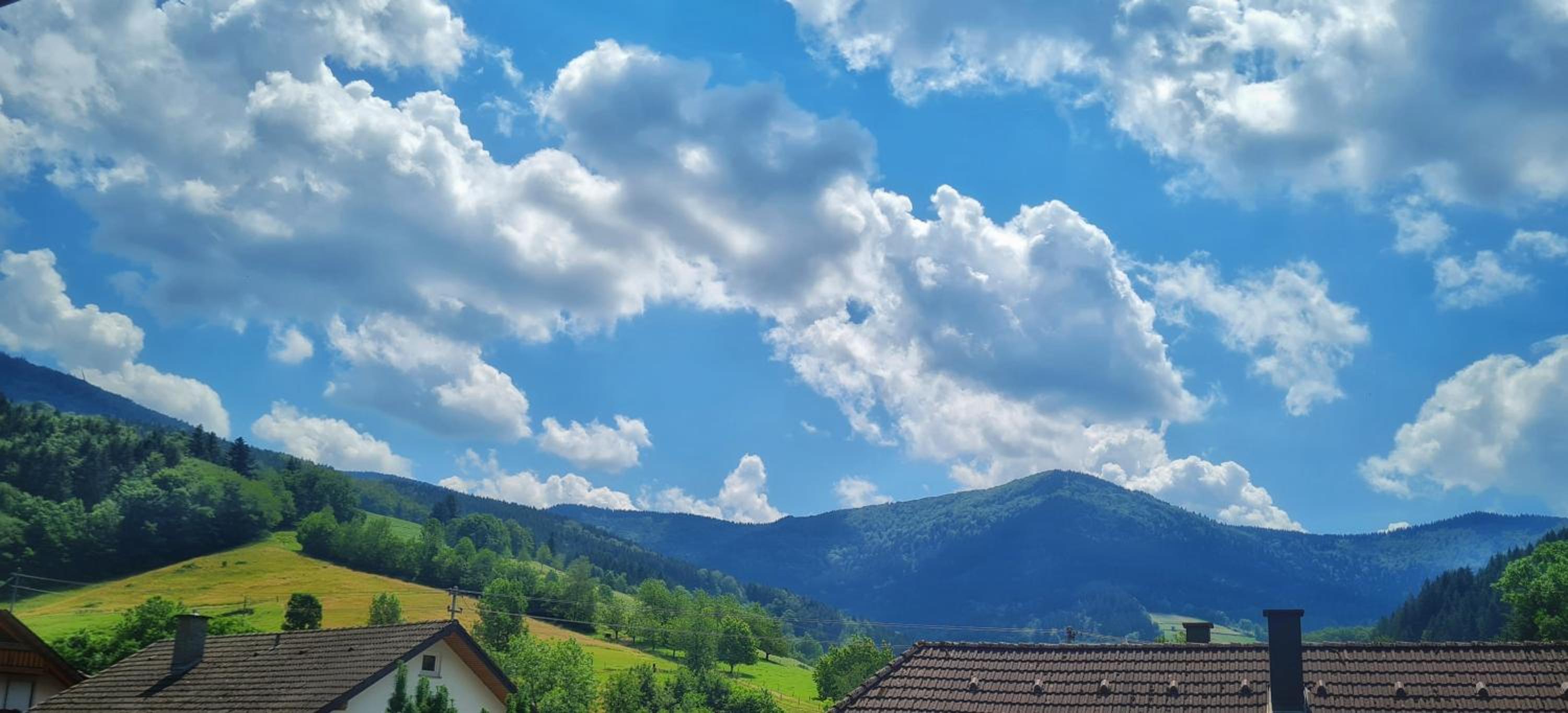 Am Sommerrain