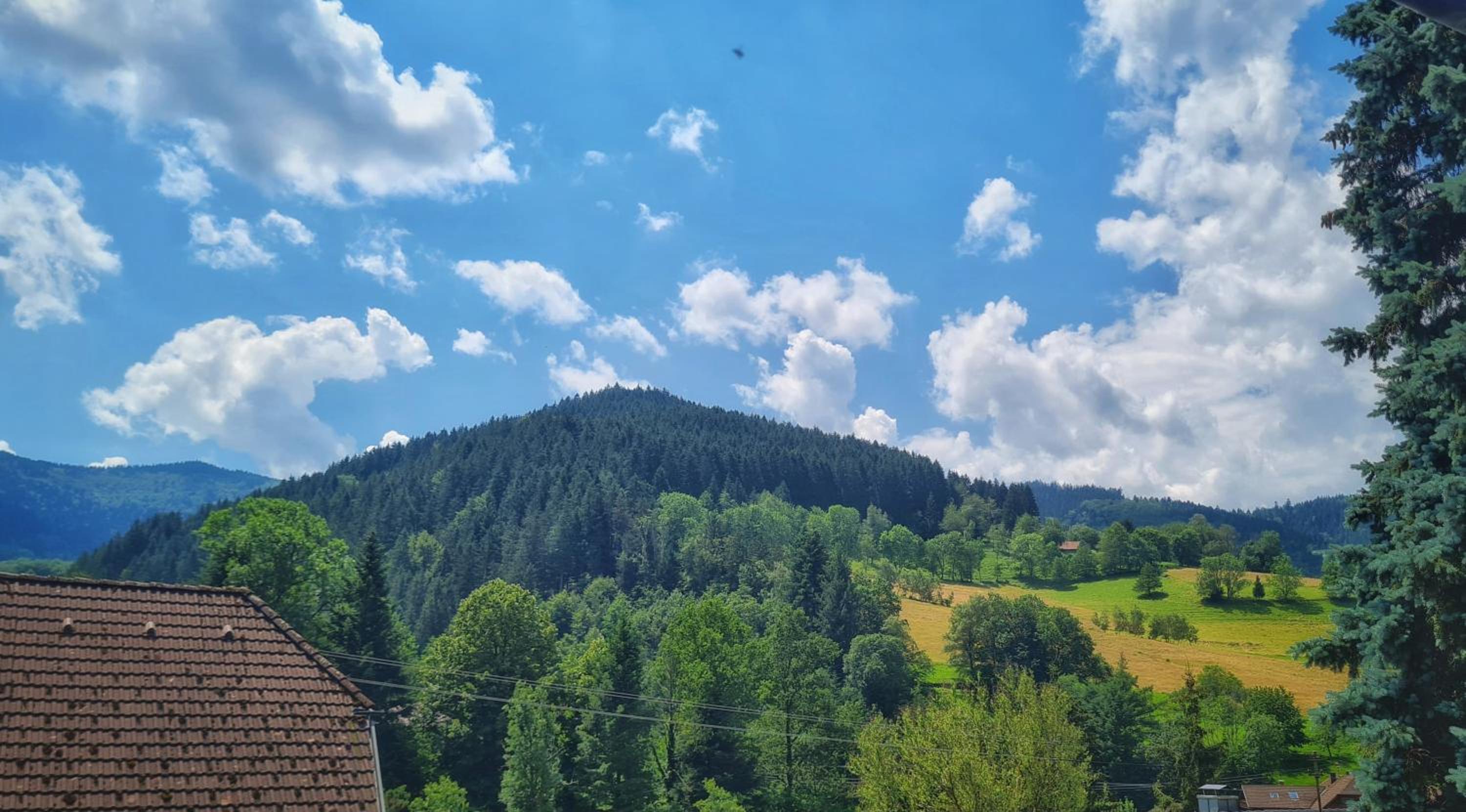Am Sommerrain