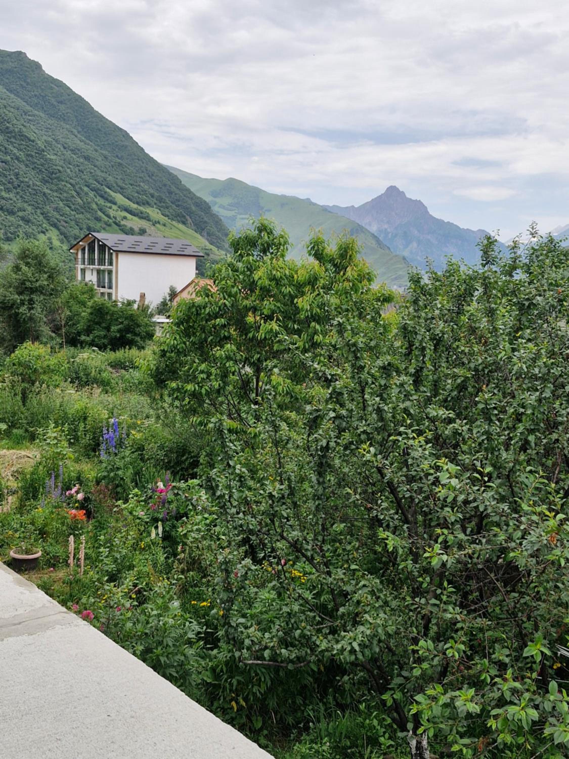 Maiko Guest House view 4