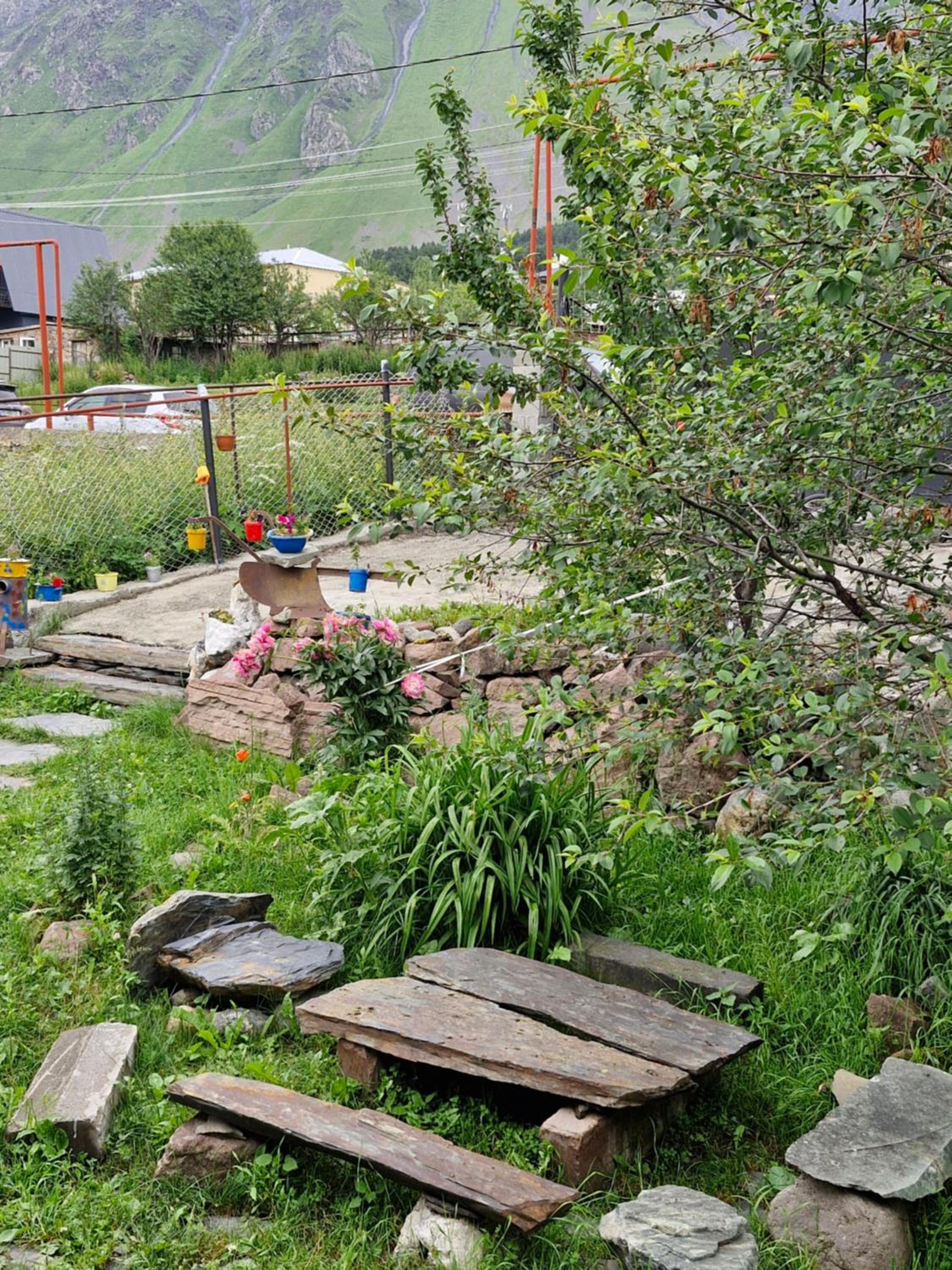 Photo 8