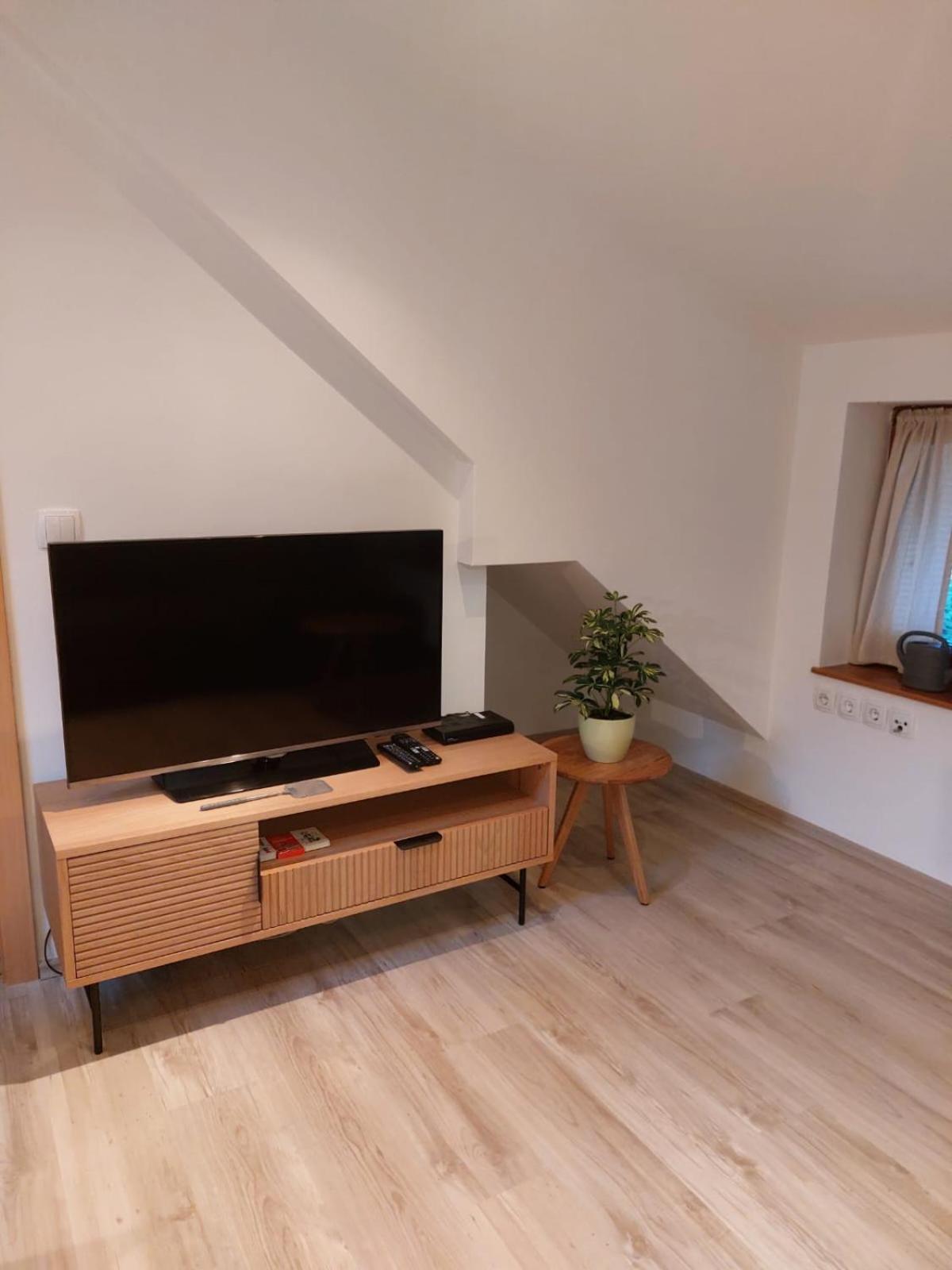 Ferienwohnung Bohinj view 3