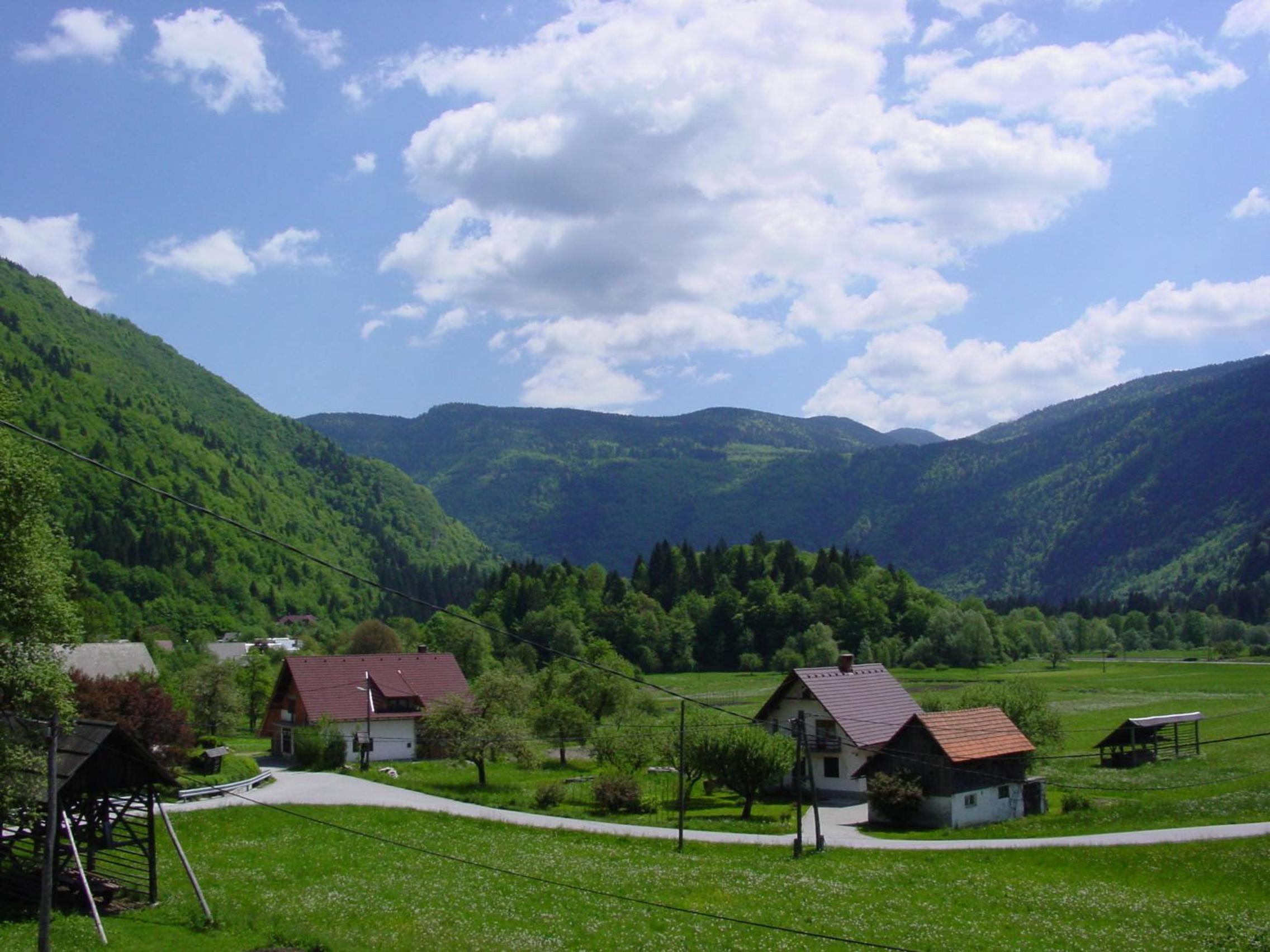 Photo 14