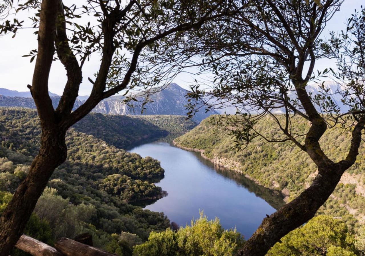 Ecoparco Neulè