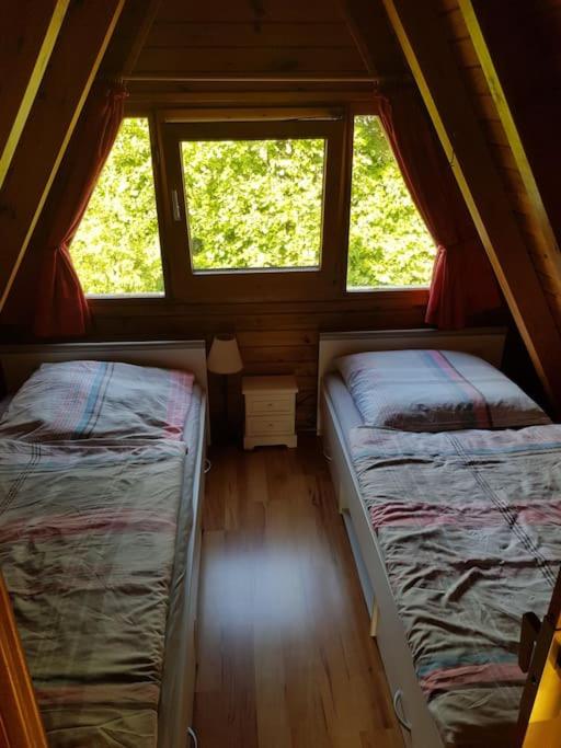 Nurdachhaus auf großem Grundstück