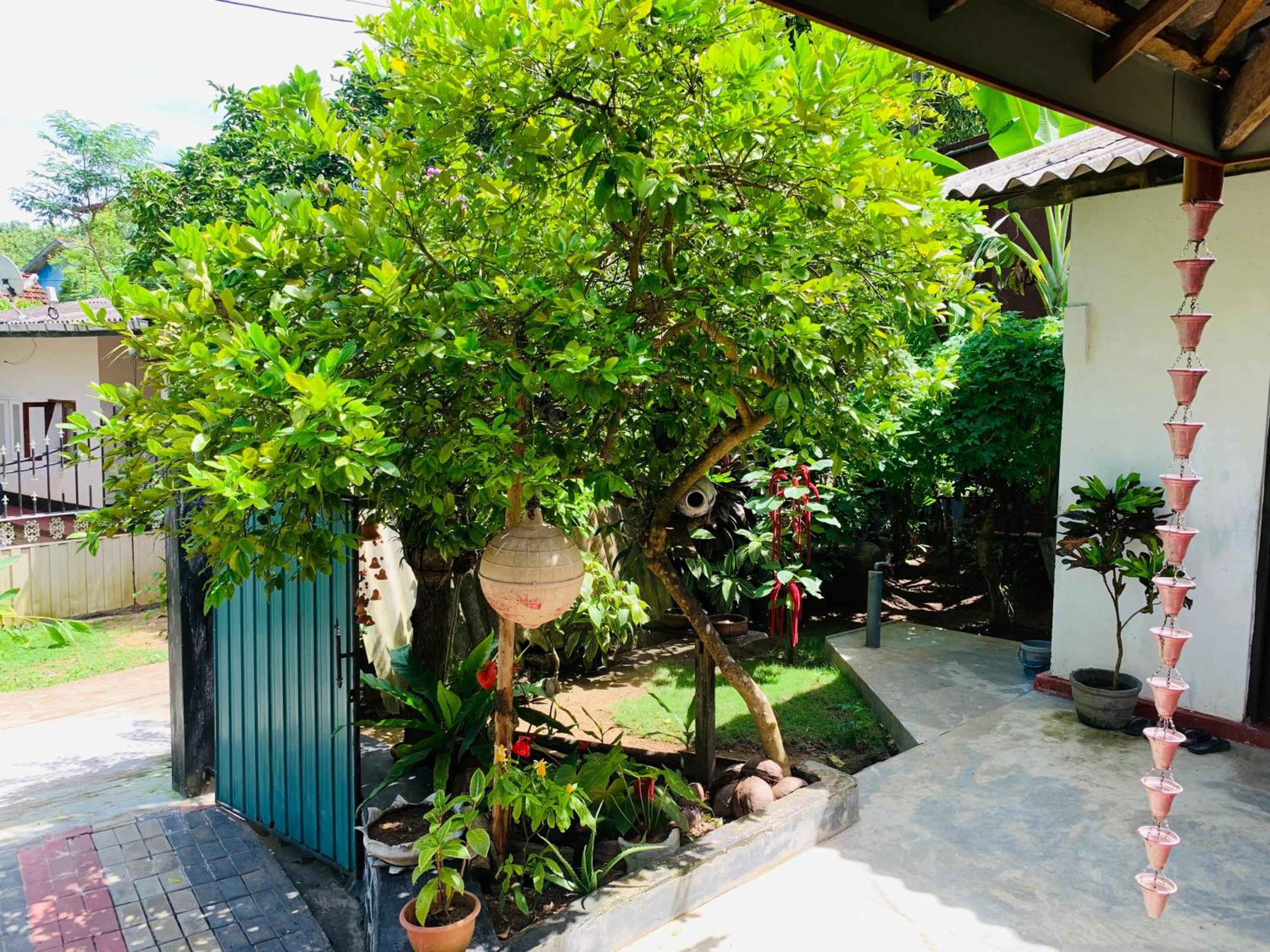 Mali Villa