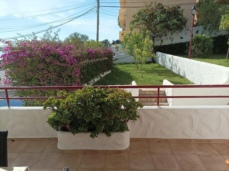 Photo 45