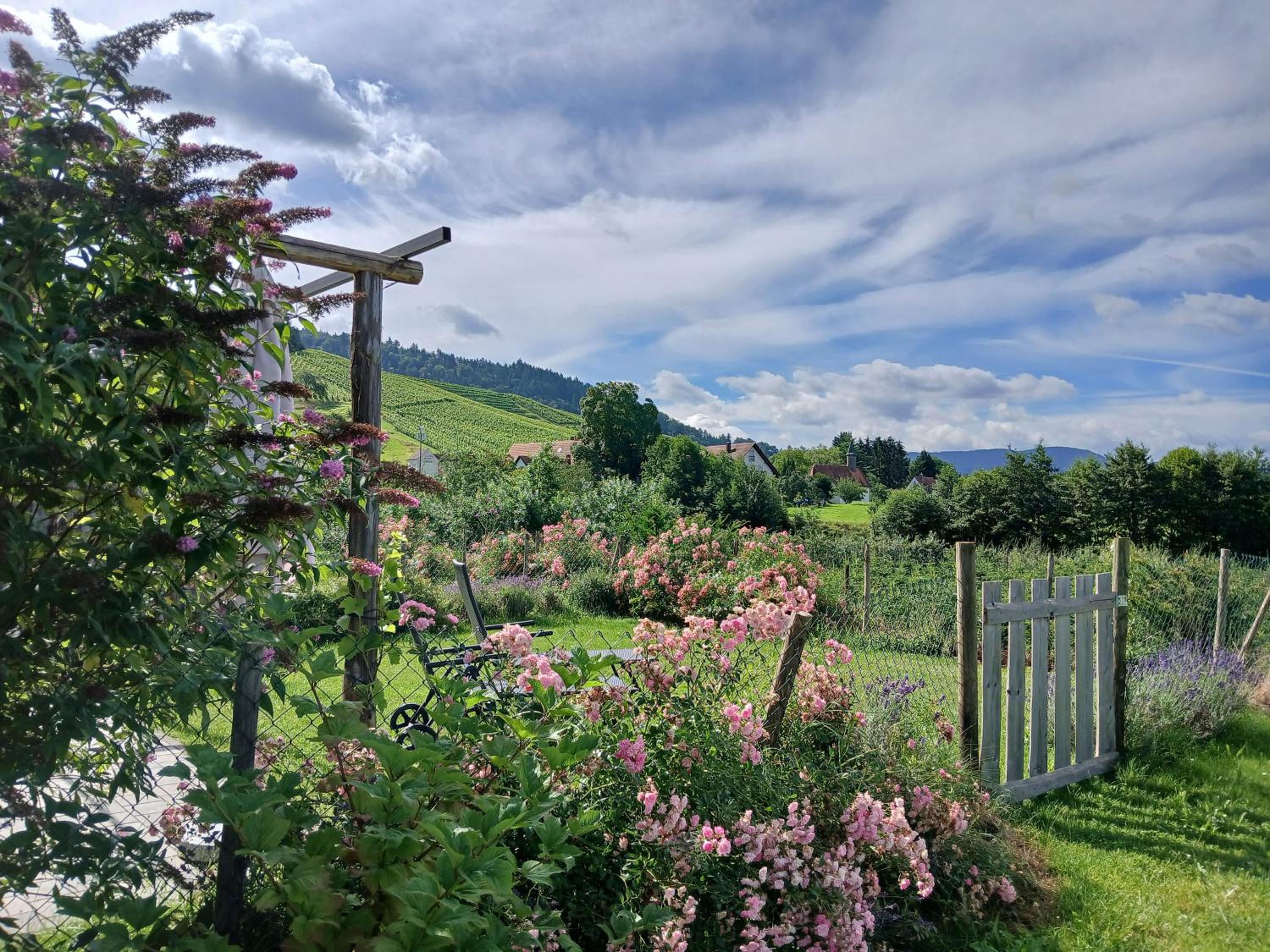 Binzighof Ferienhäuser