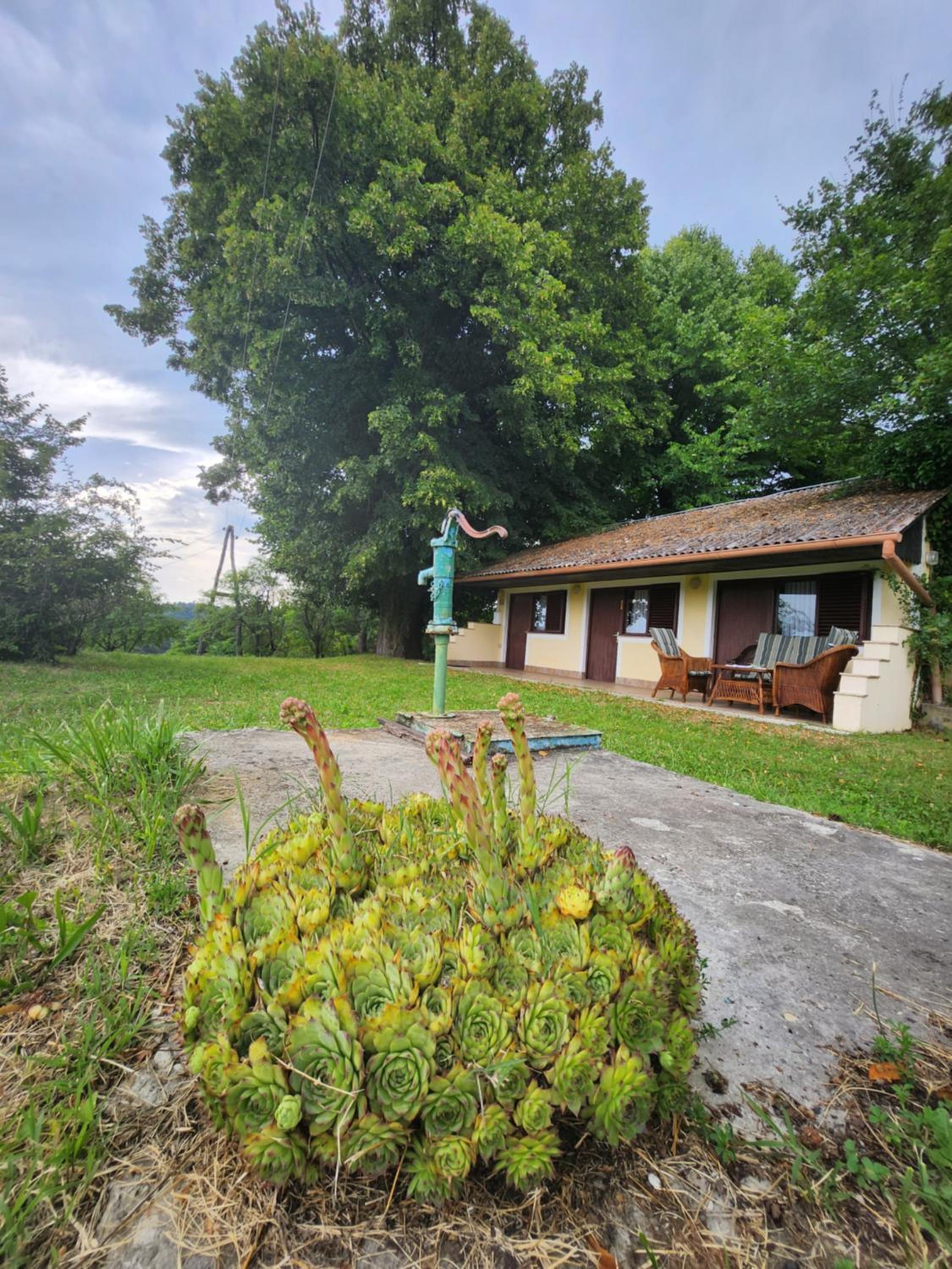 Hiša Heidi