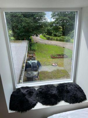 Højmosegård B&B