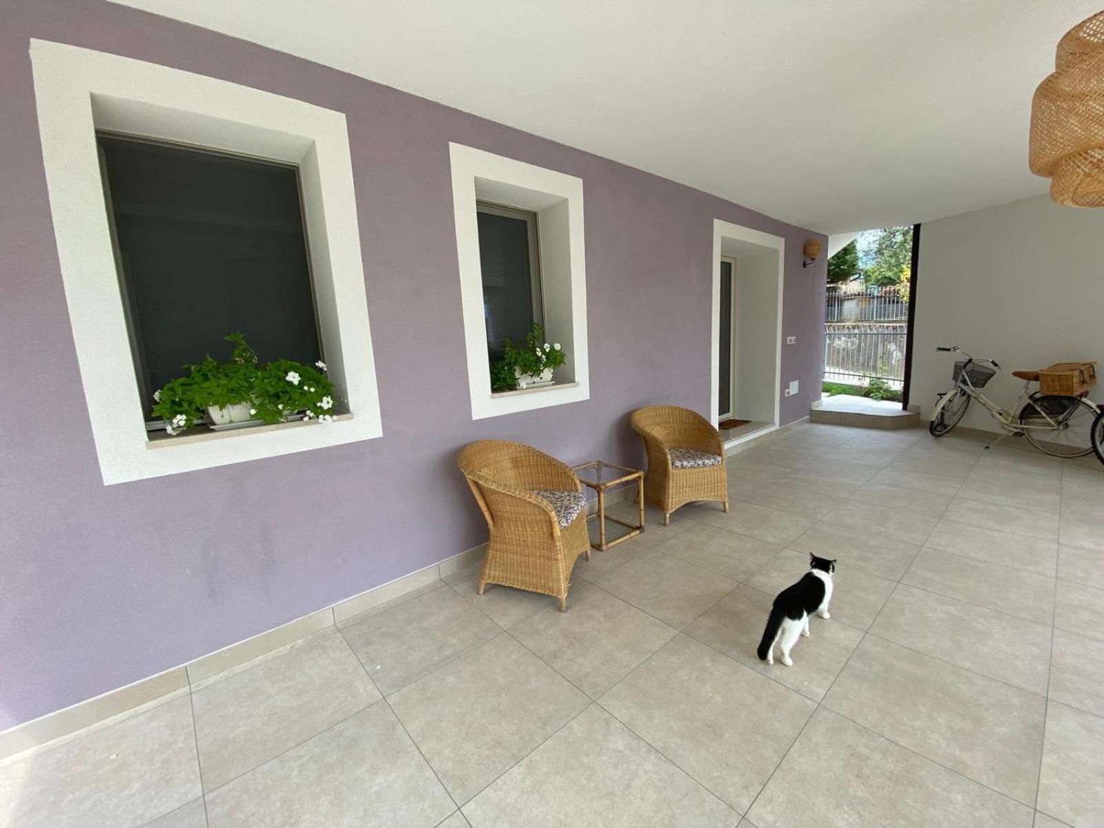 Casa Mavi photo 4