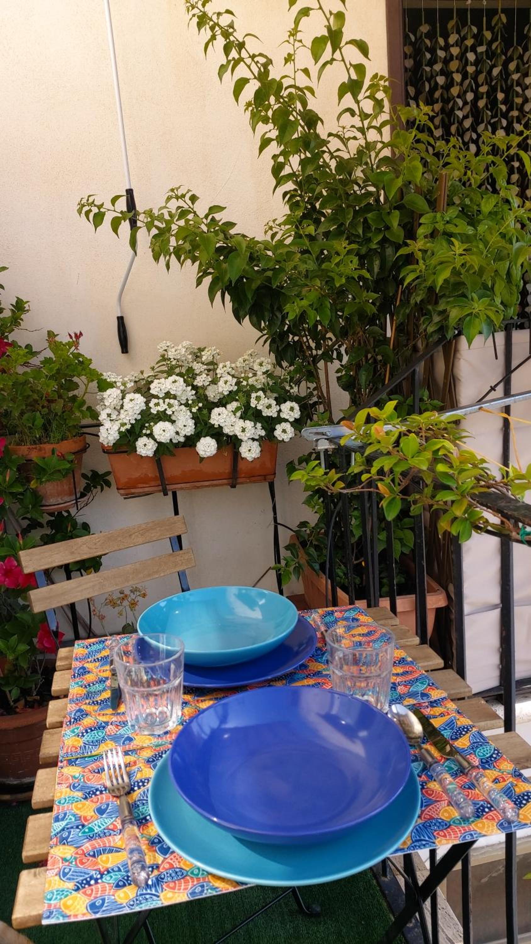balance & terrace