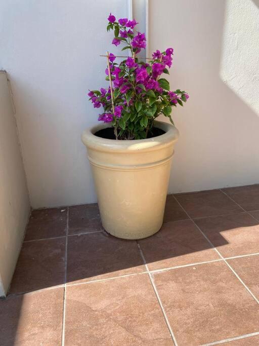 Photo 35