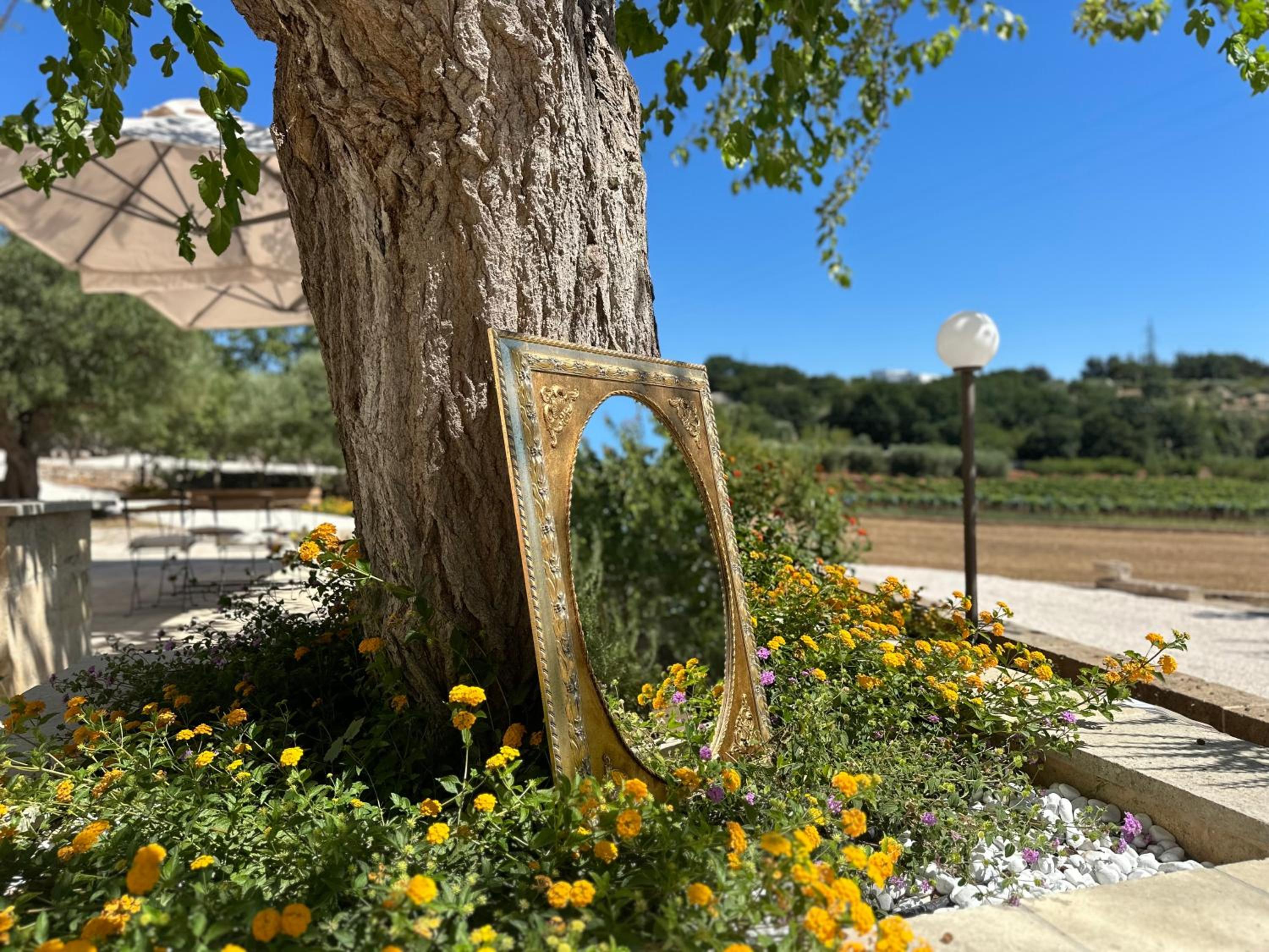 Trulli di Bacco