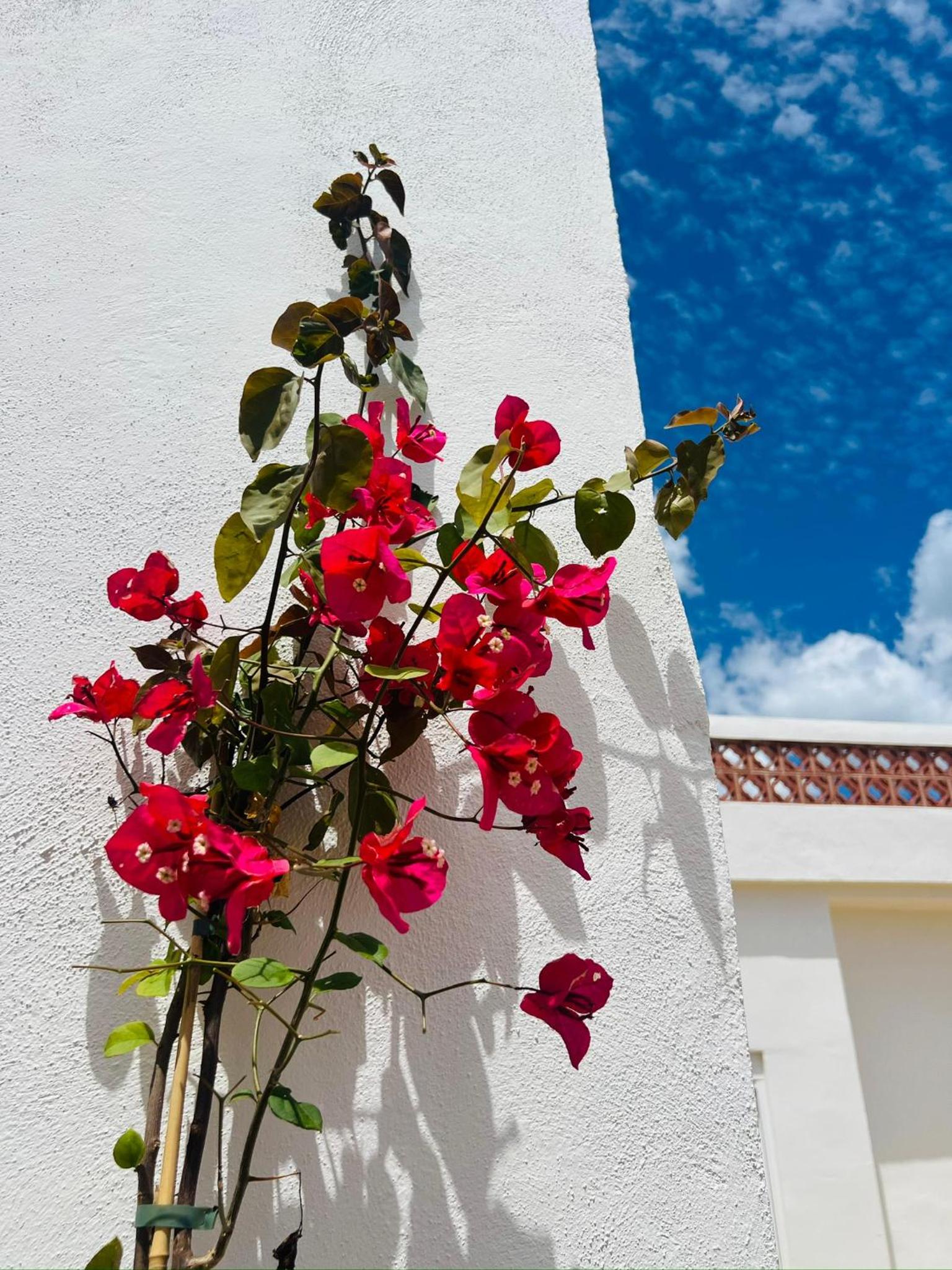 Templo Sotogrande
