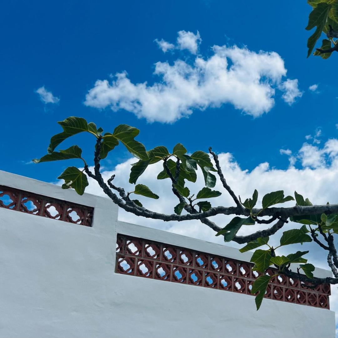 Templo Sotogrande
