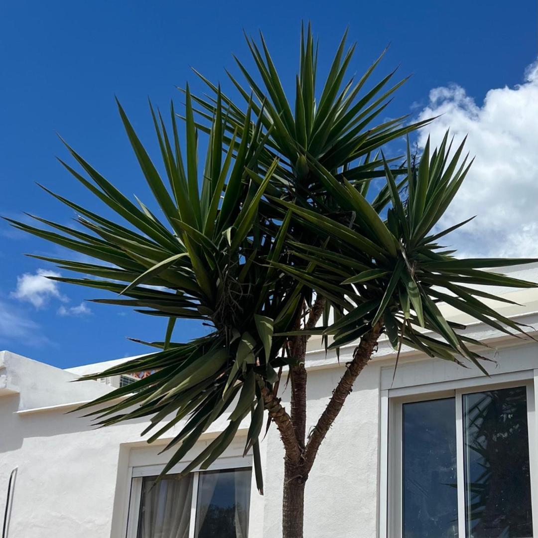 Templo Sotogrande