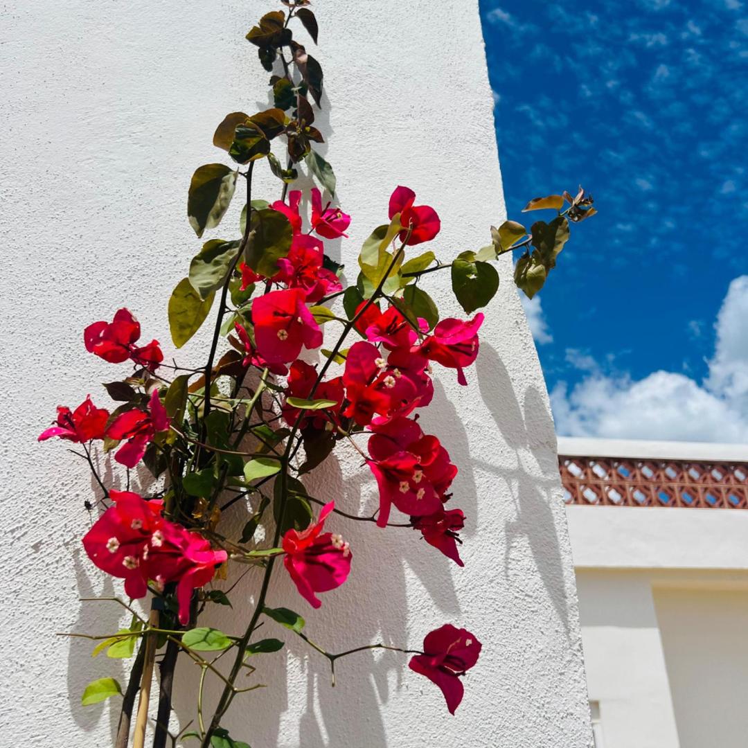 Templo Sotogrande