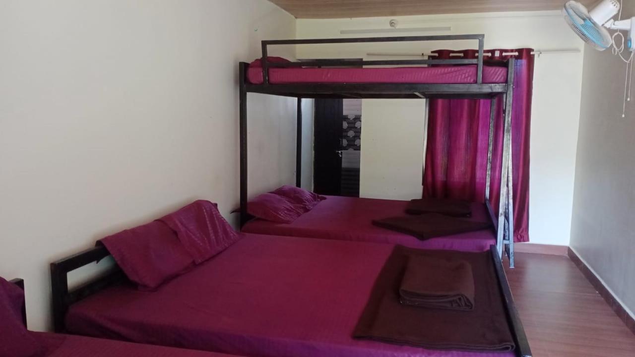 Dandeli Cheetah Jungle Stay Resort view 2