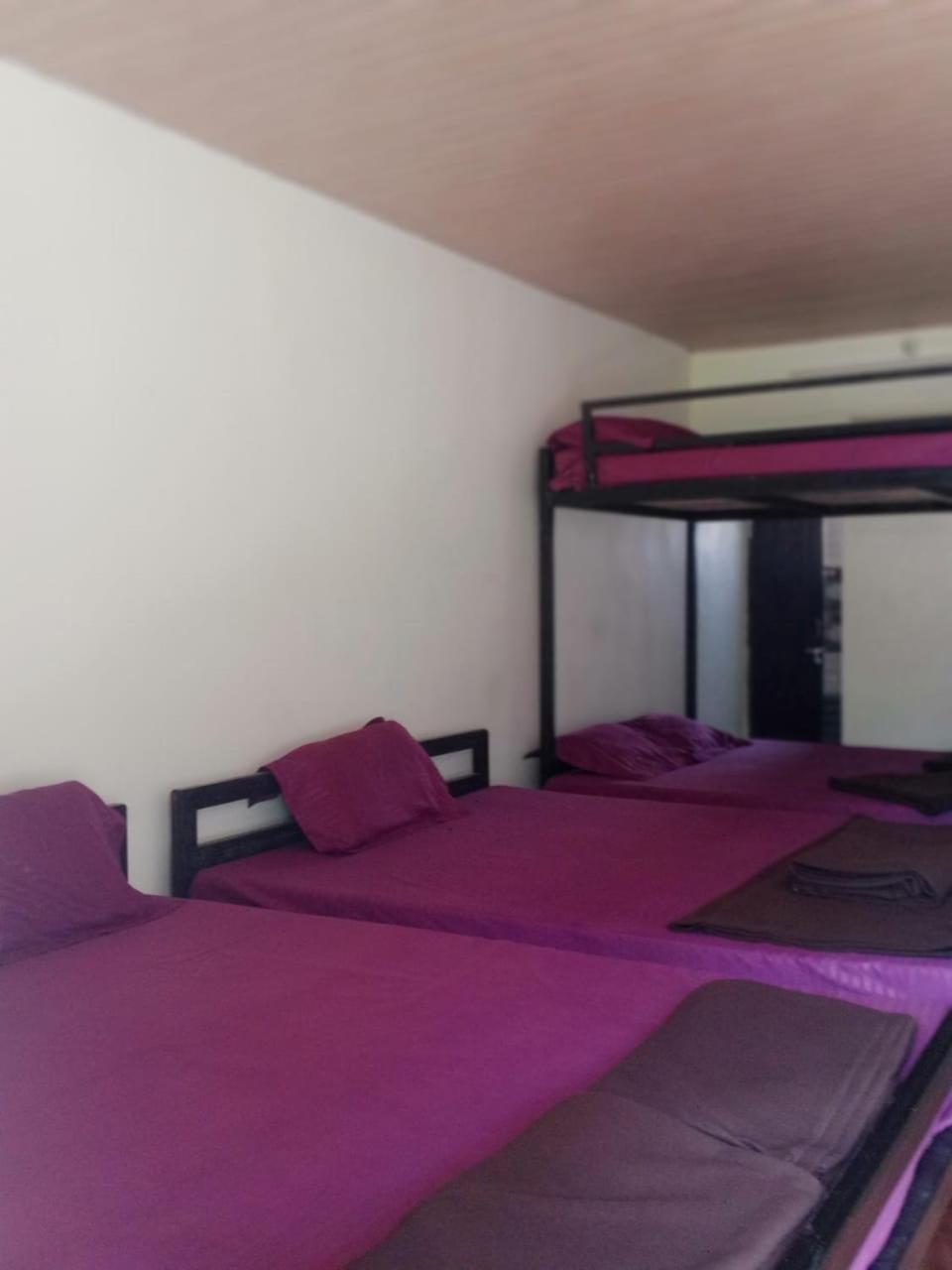 Dandeli Cheetah Jungle Stay Resort view 3