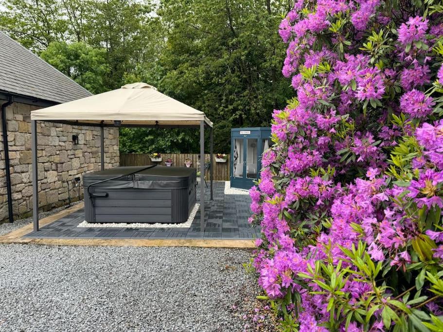 Stylish House with hot tub view 4