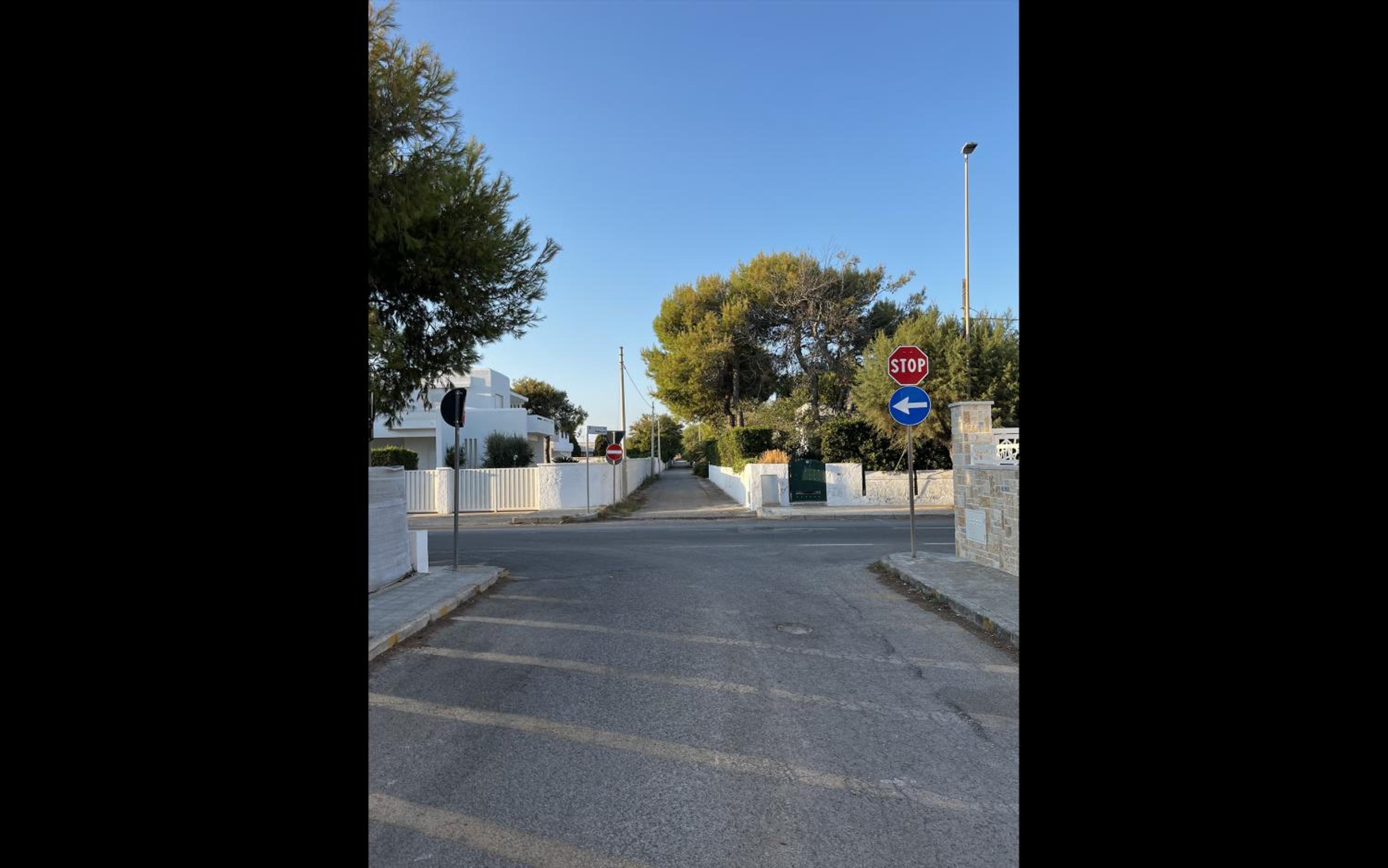Photo 42