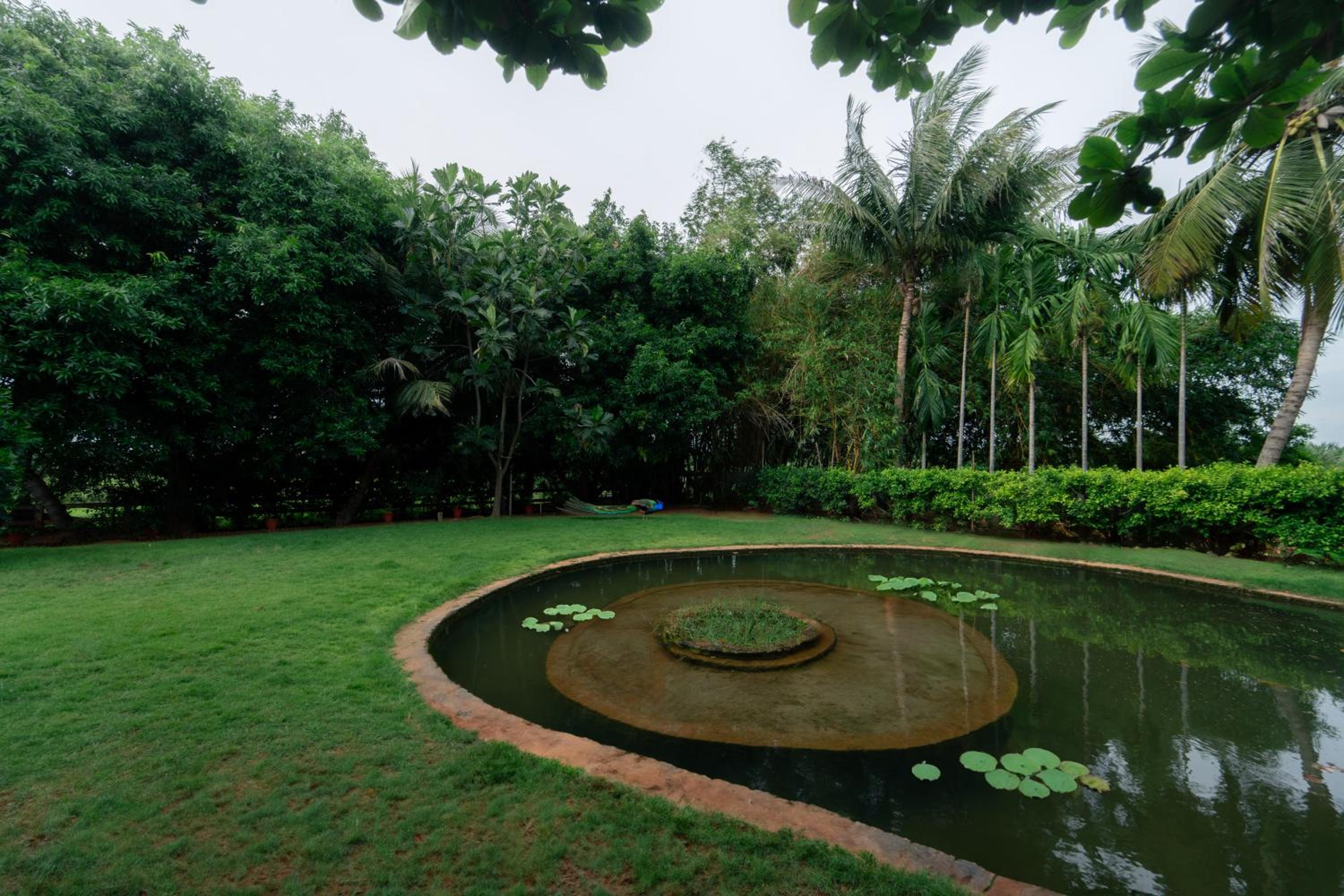 Jardz My Retreat view 5