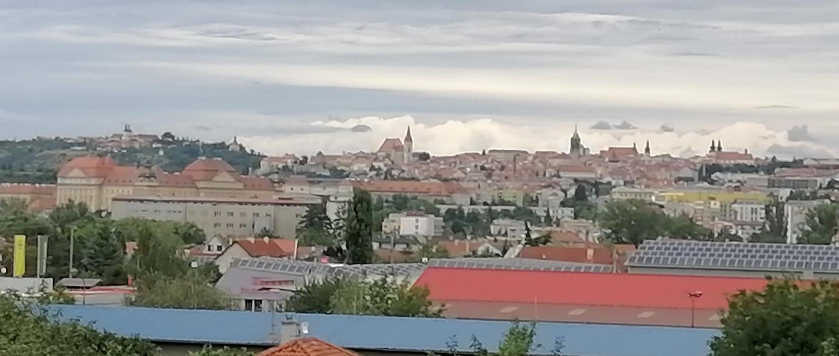 Víno Andrusiów