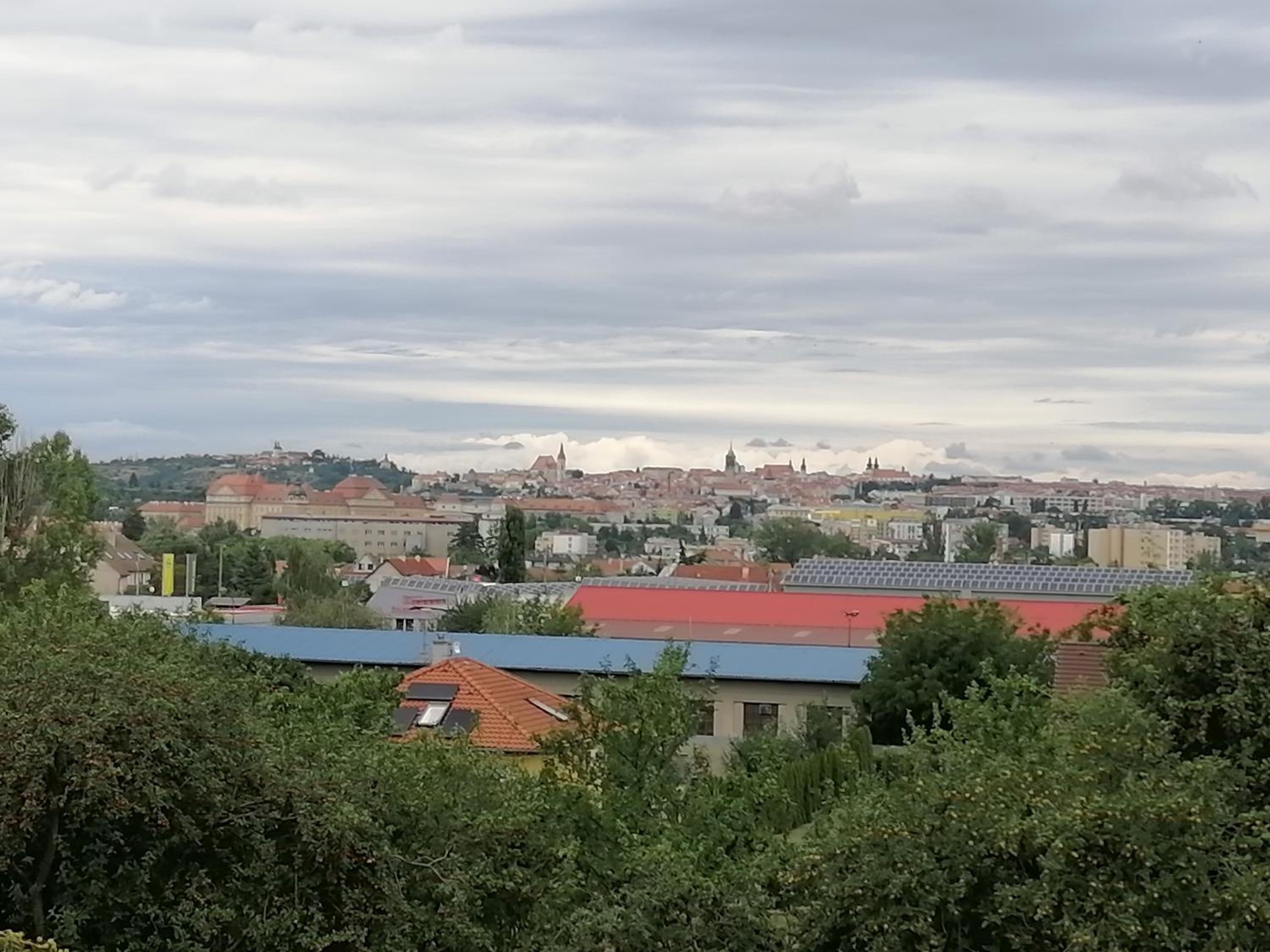 Víno Andrusiów