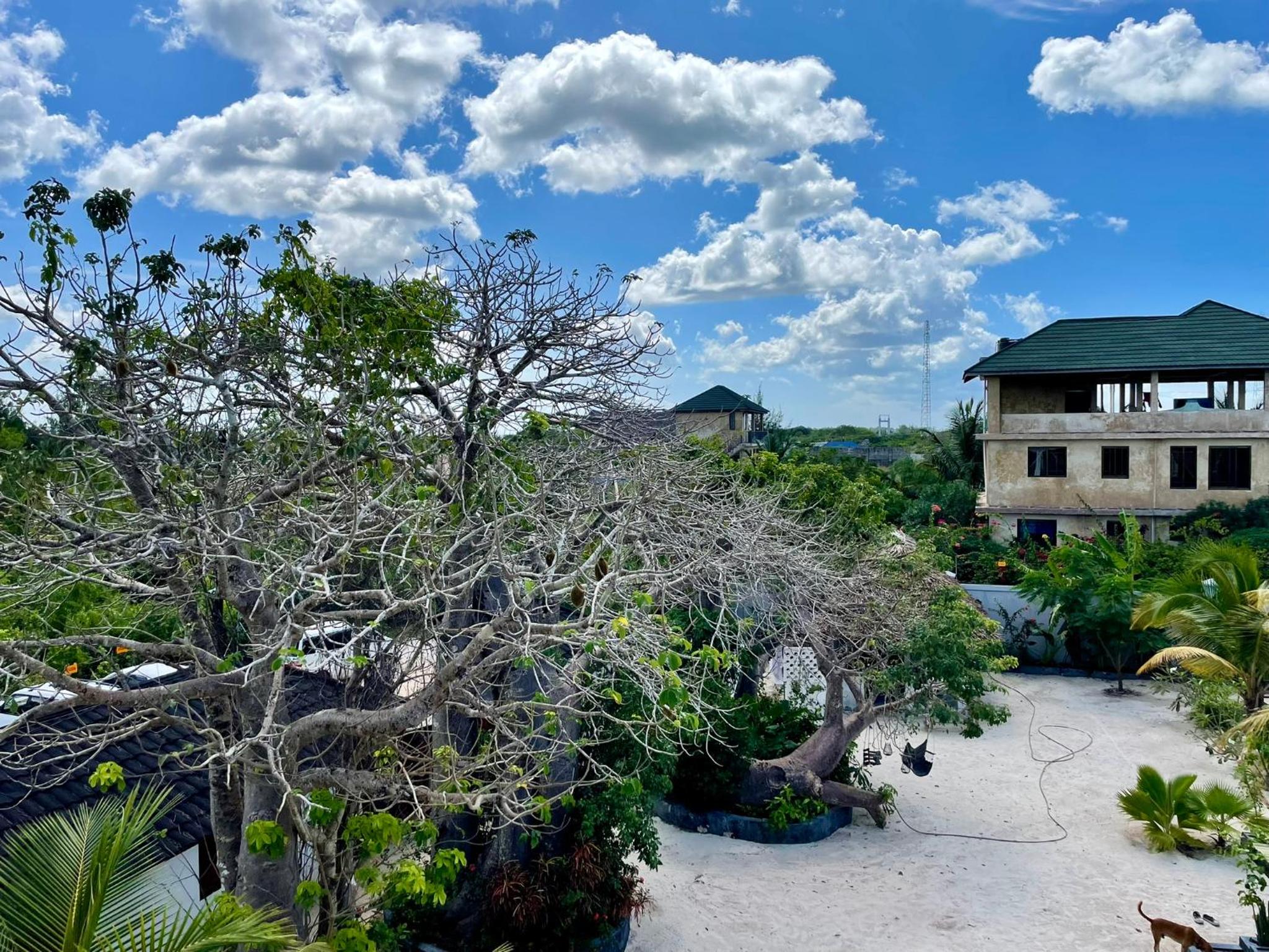 Baobab Bungalows