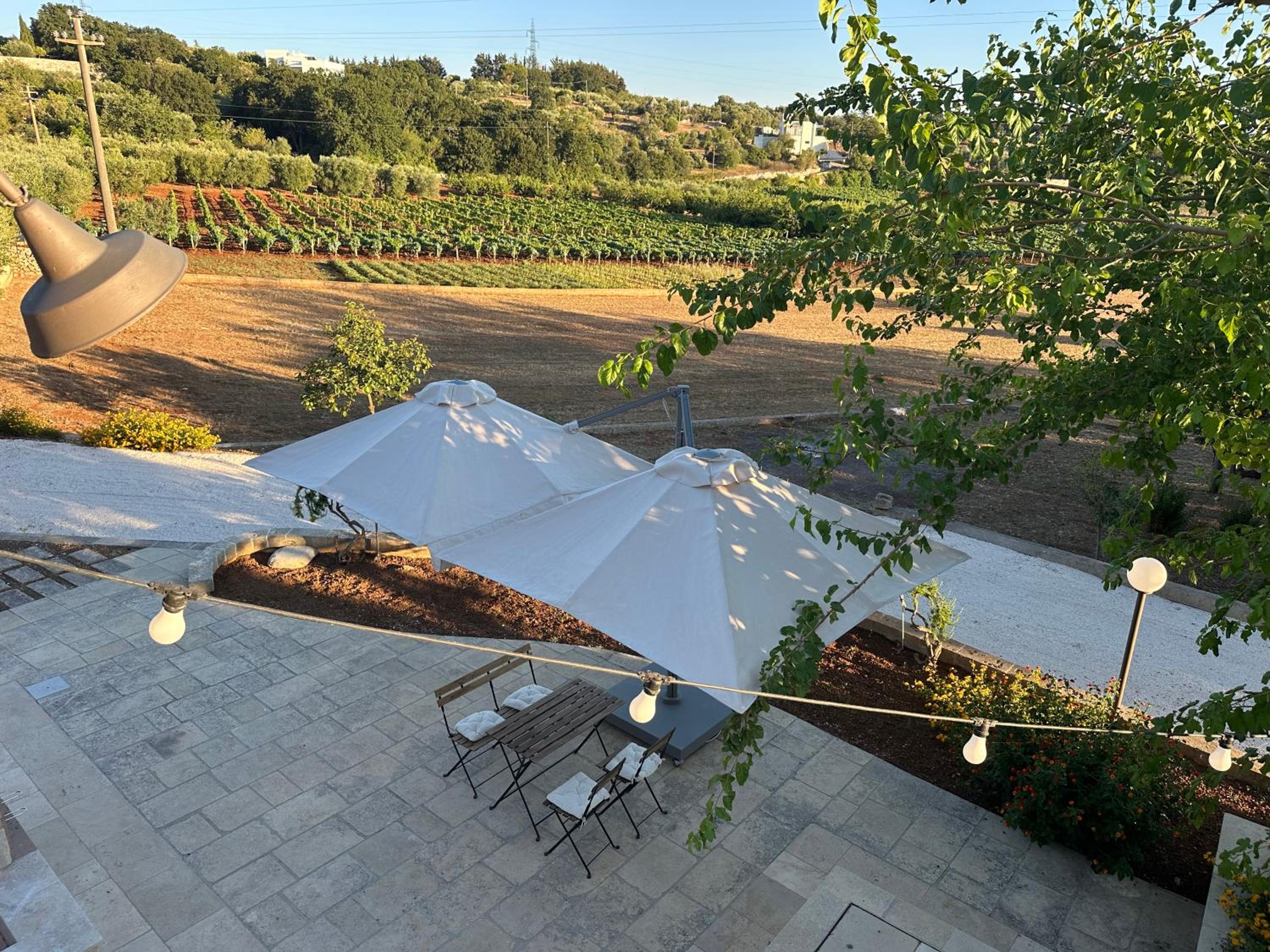Trulli di Bacco