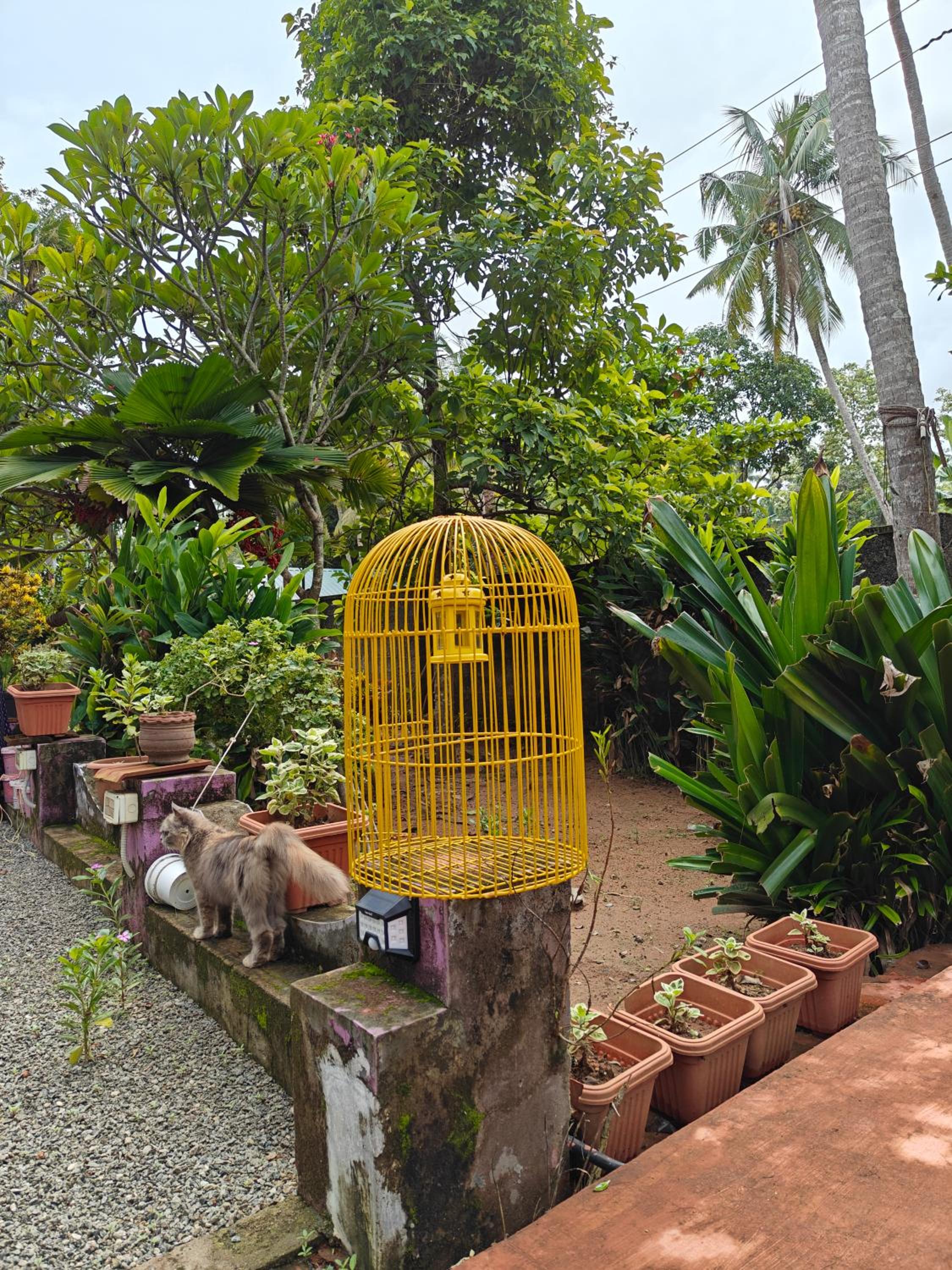 Kaabha Resort view 2