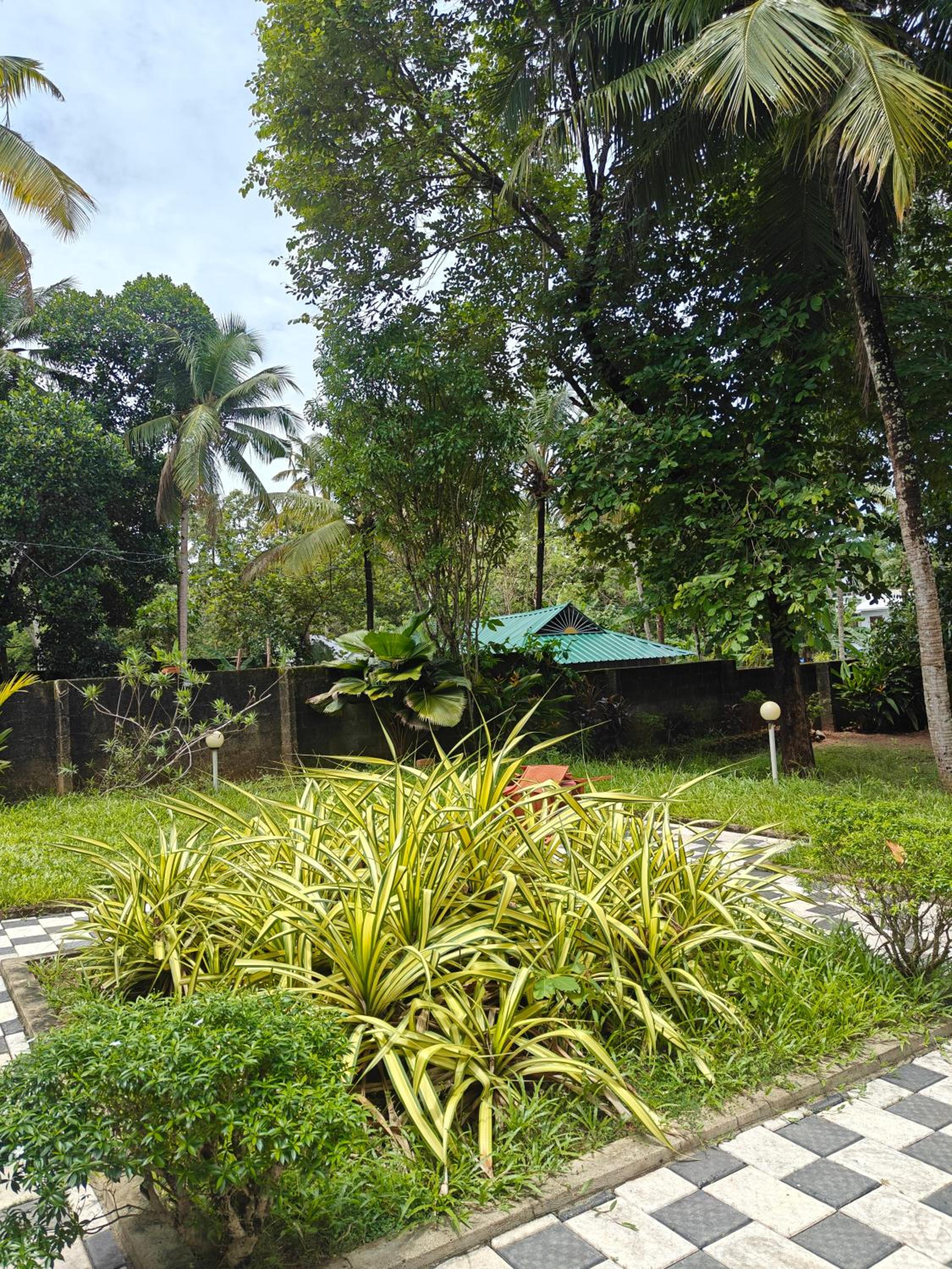Photo 9