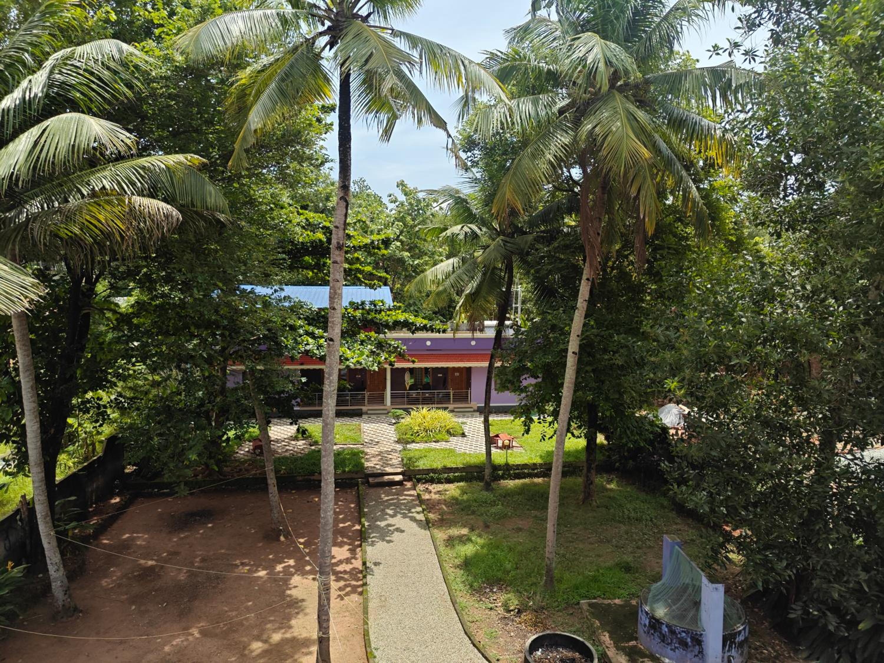 Photo 19