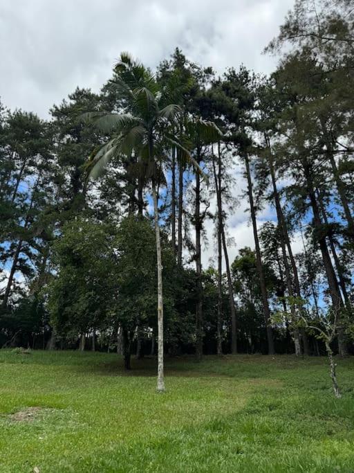 sítio Anápolis - sauna, lareira, rio, e Wi-Fi!