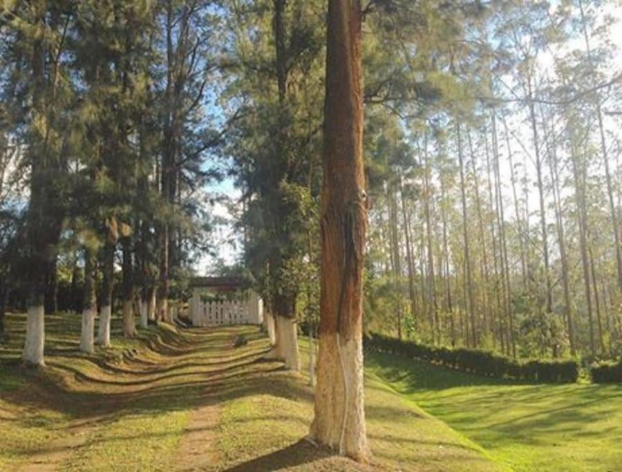 sítio Anápolis - sauna, lareira, rio, e Wi-Fi!