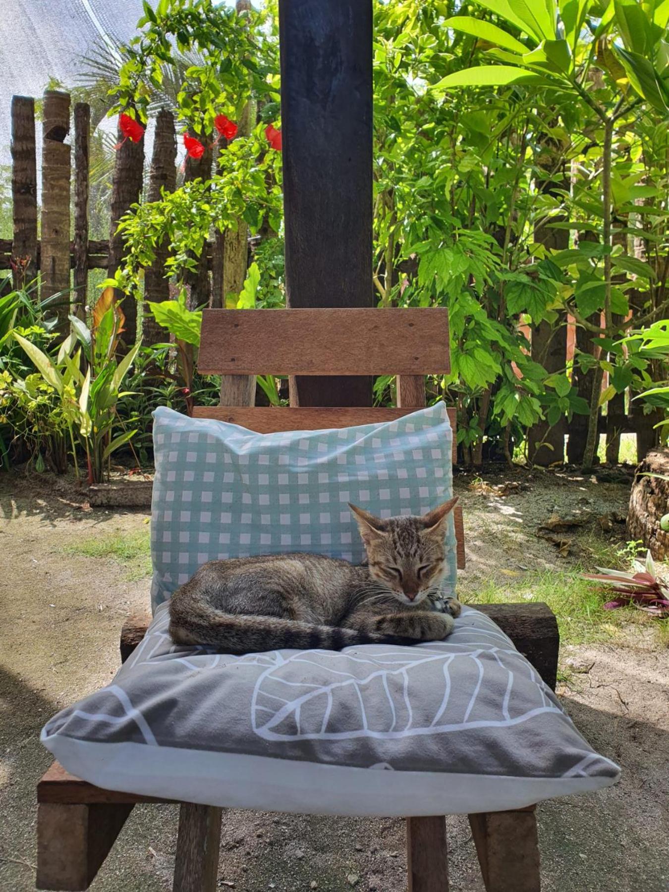 Coleto Siargao