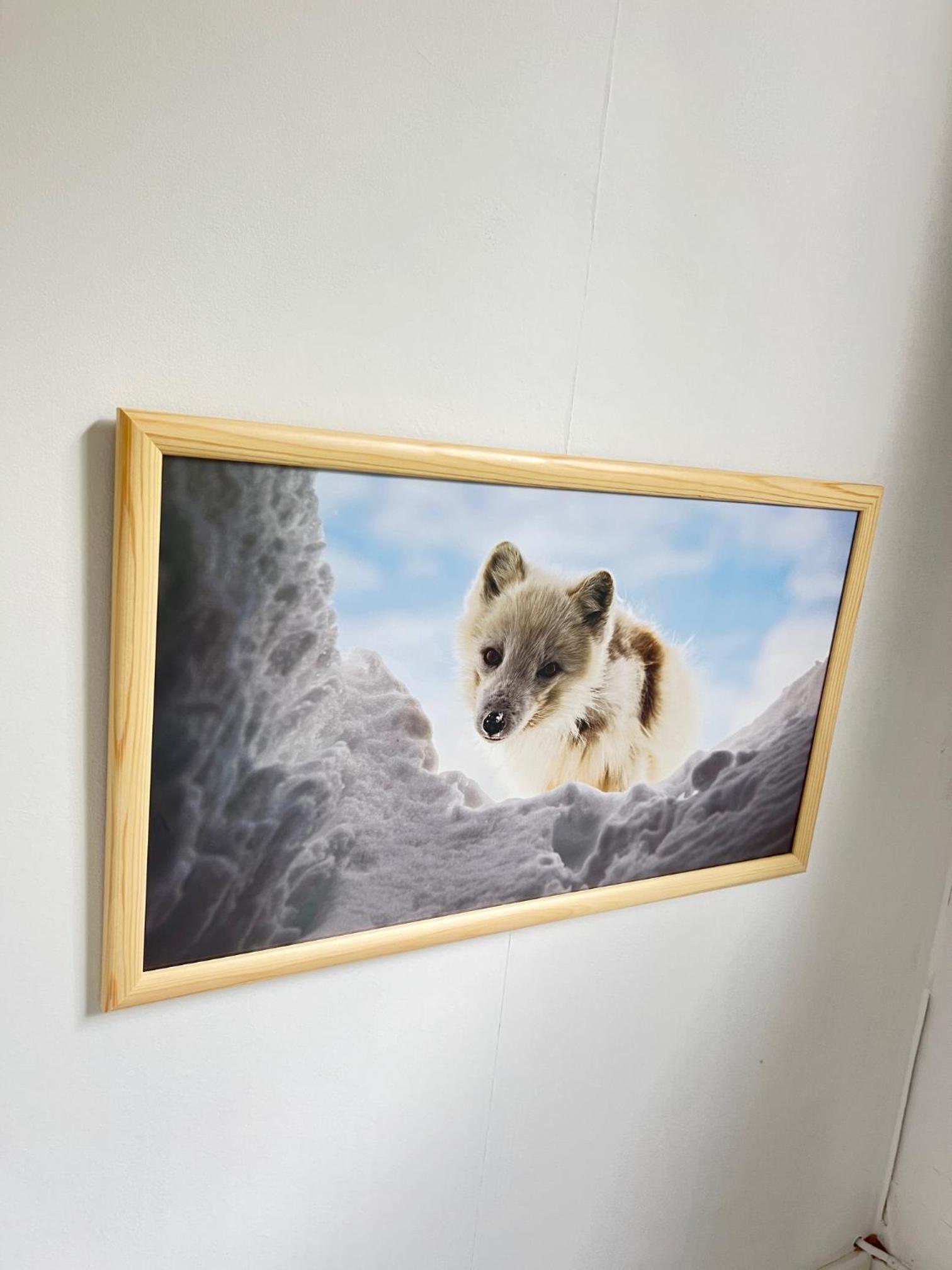 Photo 19