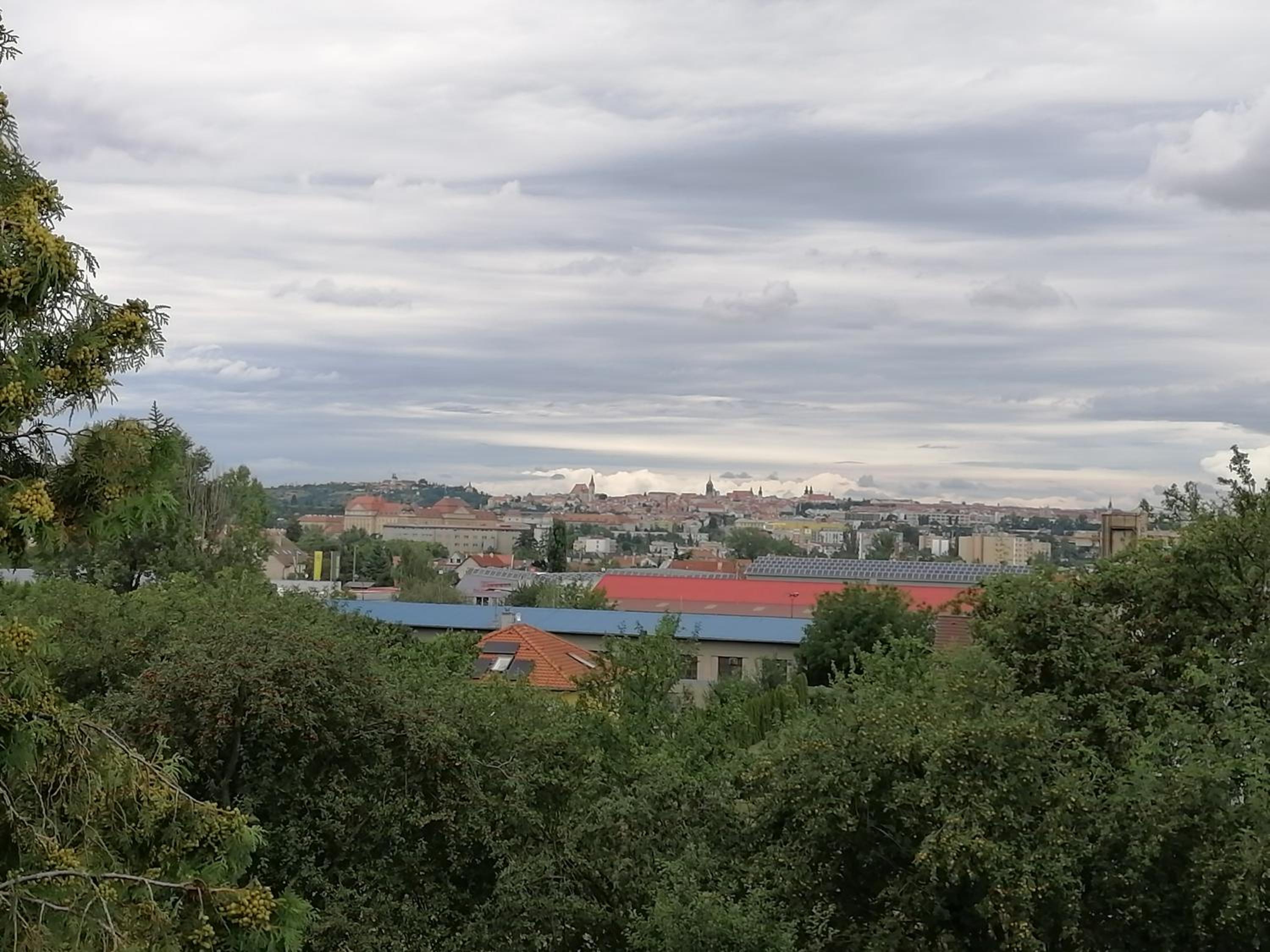 Víno Andrusiów
