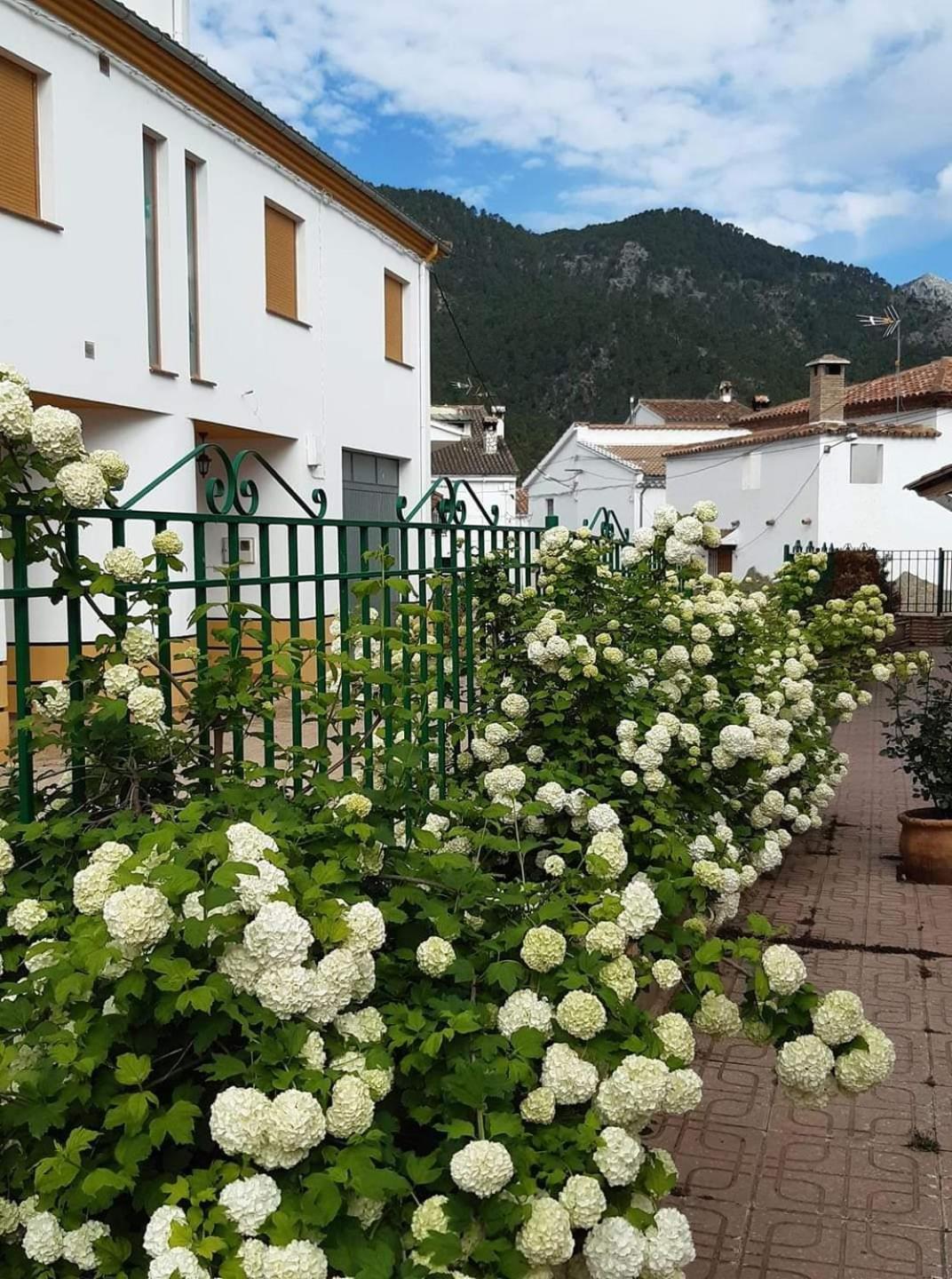 ALBERGUE RUTA RIo BOROSA