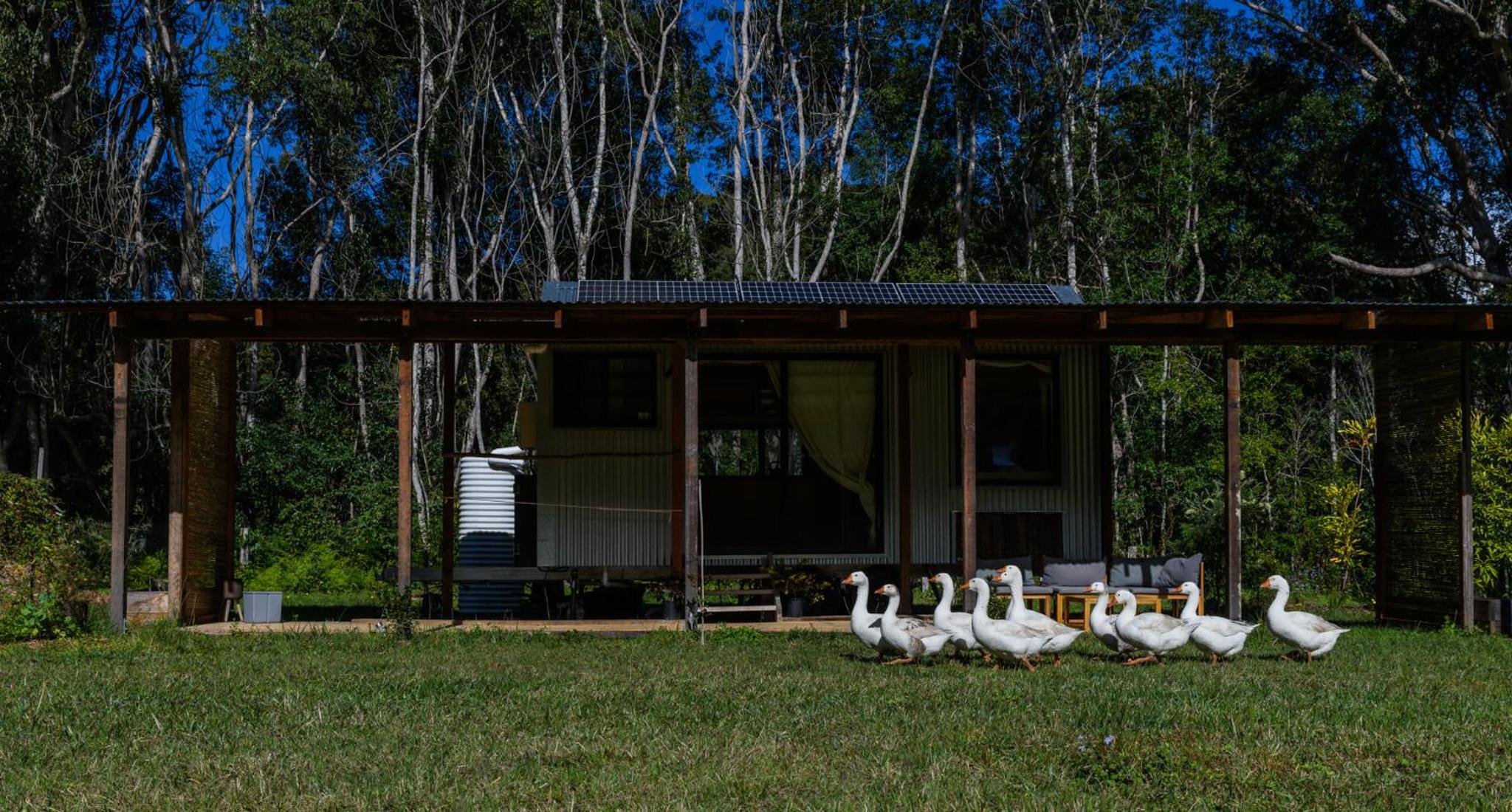 Lush Cabin on a Peaceful Farm