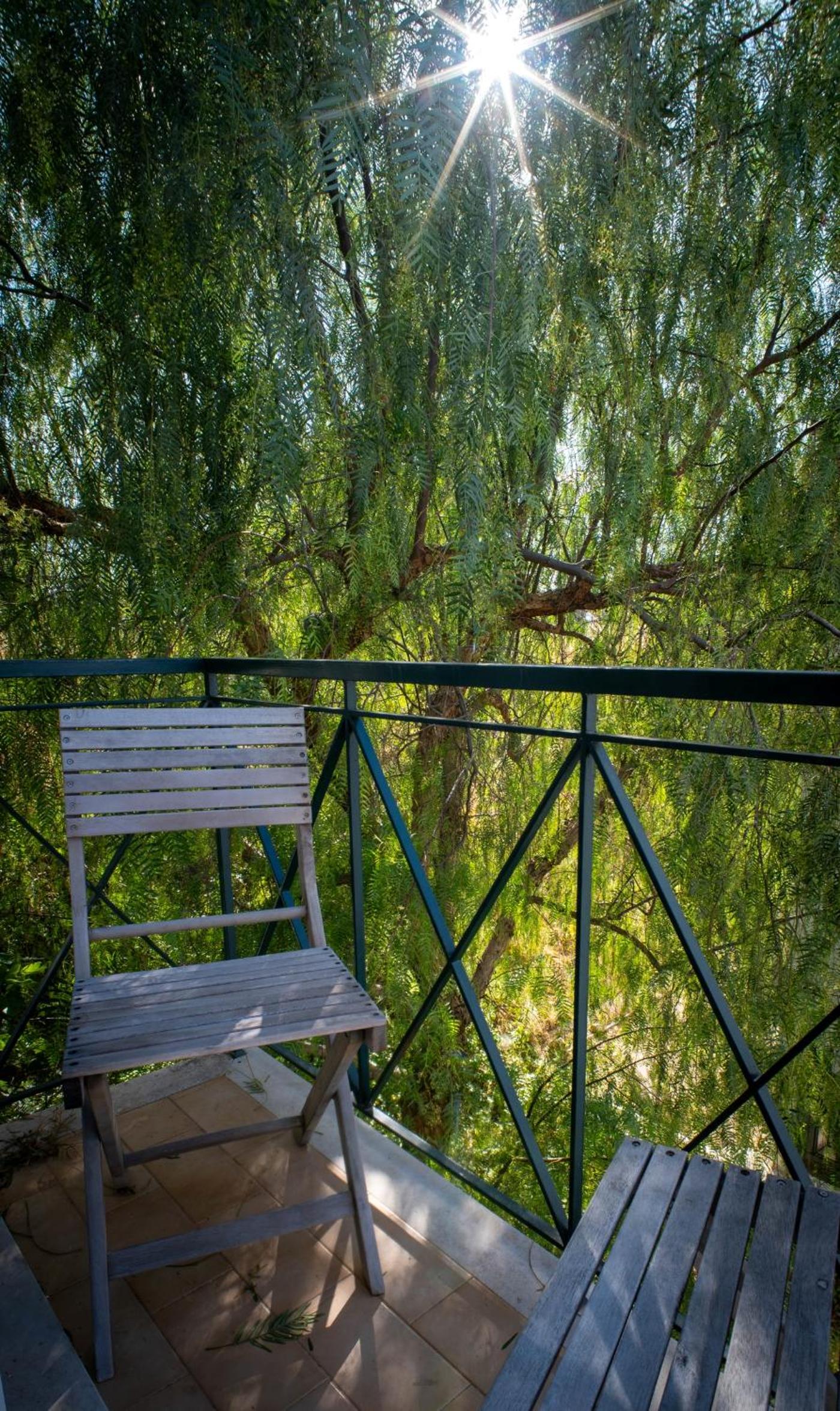 Photo 50