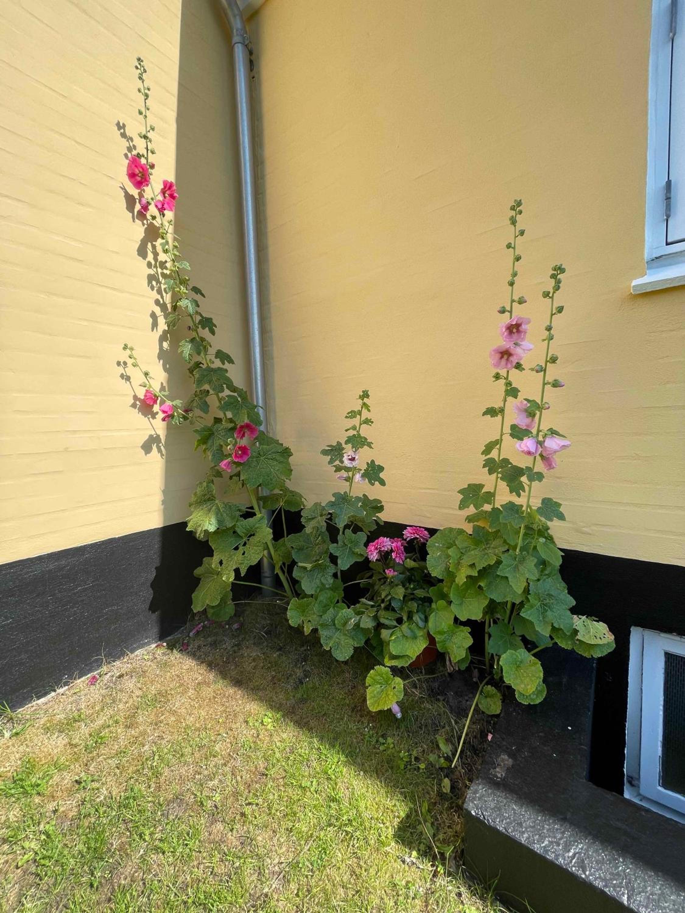 Holiday Flat In Skagen Town