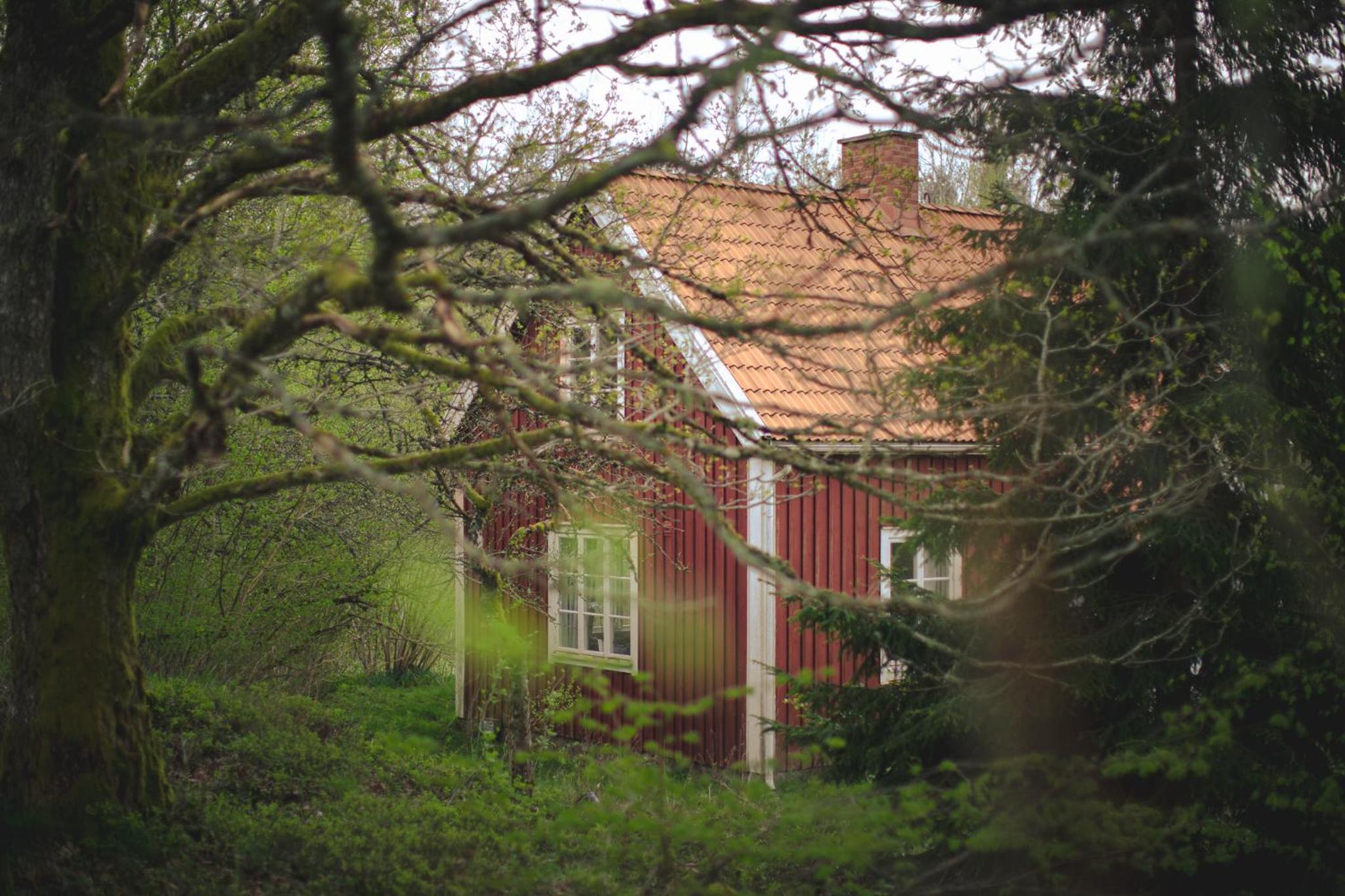 Photo 8