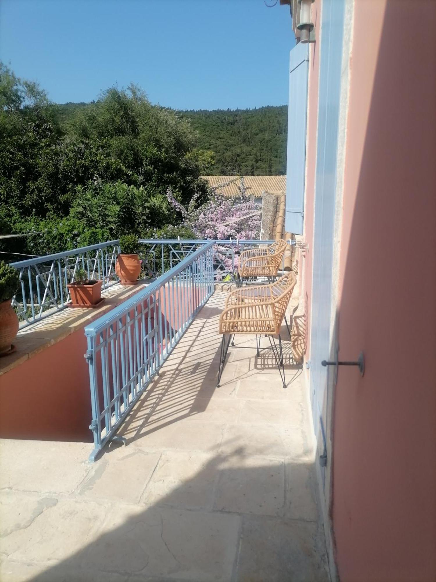 Photo 42