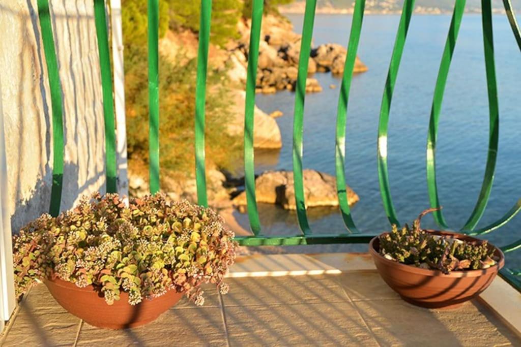 Beachouse Dalmatia in secluded bay, Croatias best photo 2